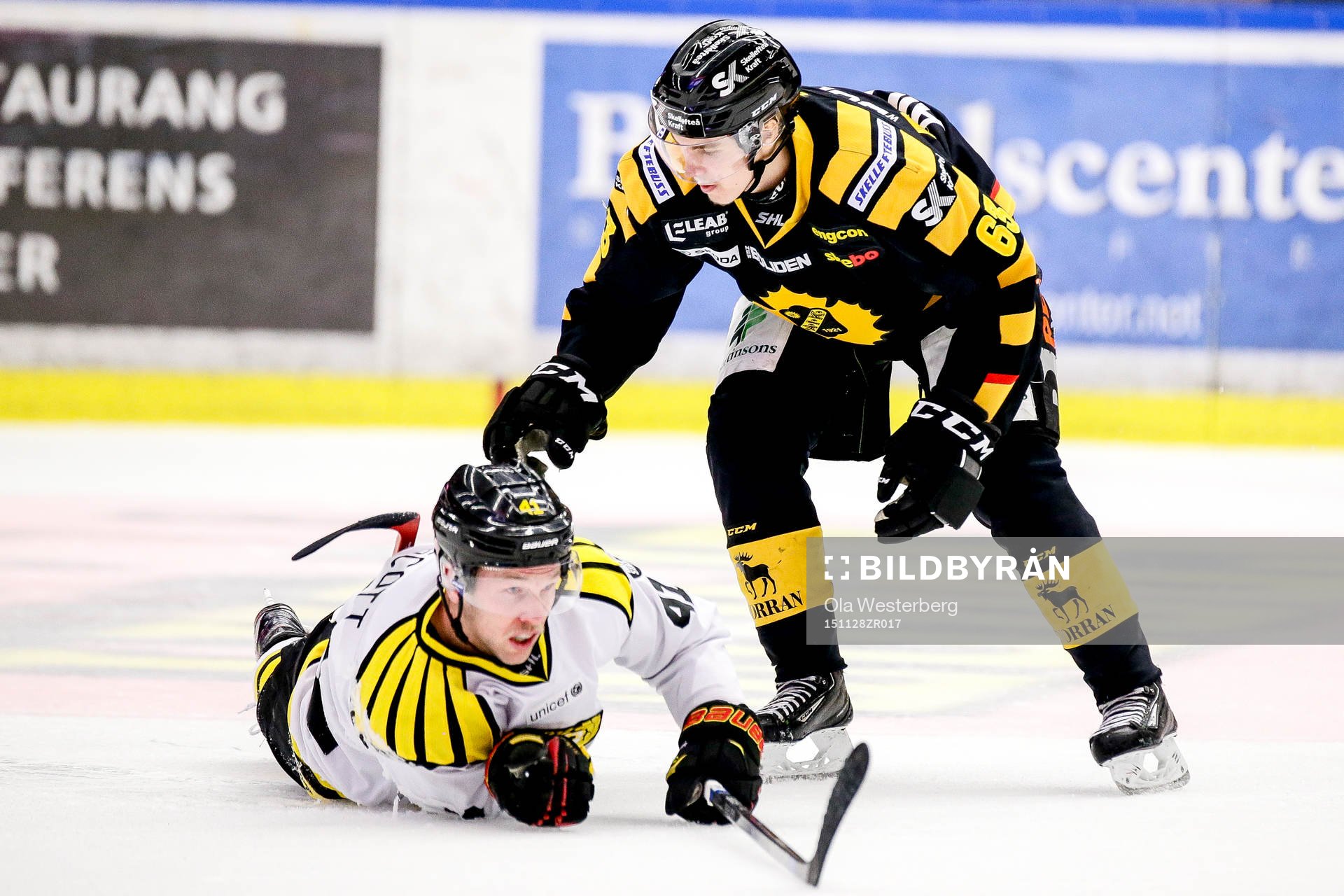 Skellefteås Sebastian Aho