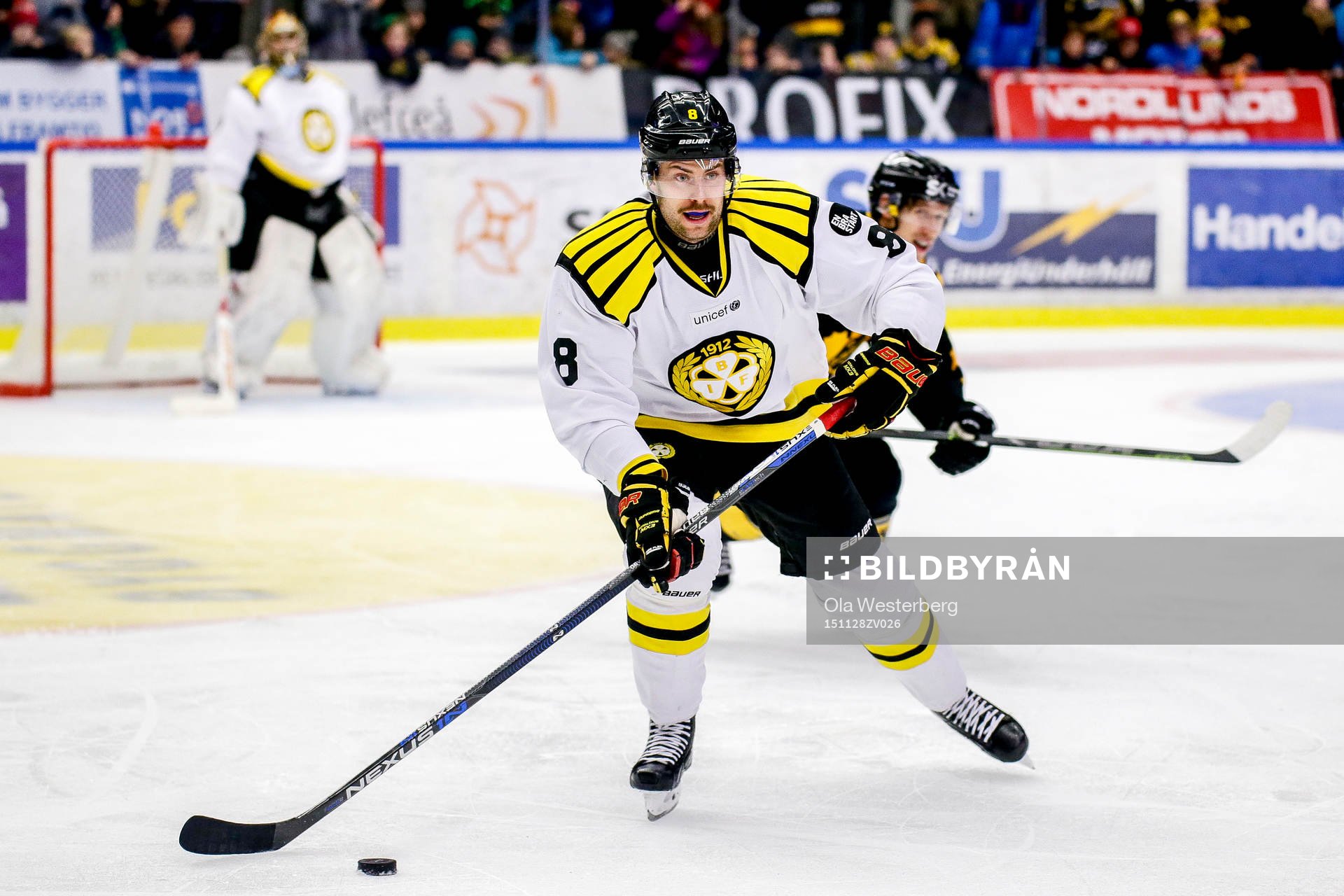 Brynäs Mathias Porseland