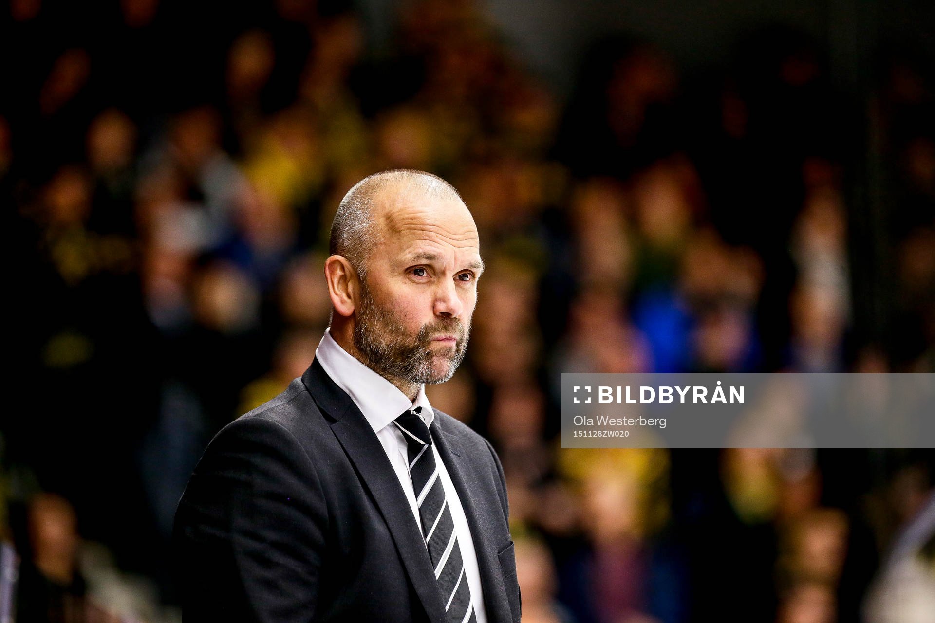 Brynäs assisterande tränare Tommy Sjödin