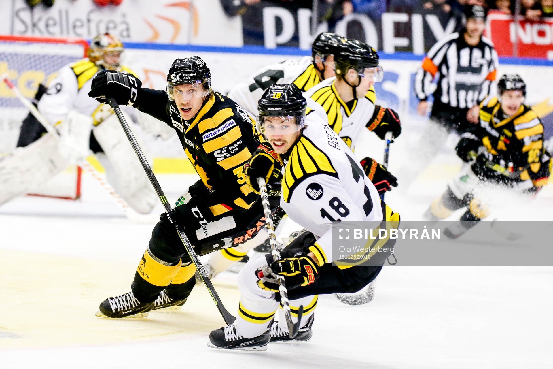 Skellefteås John Norman