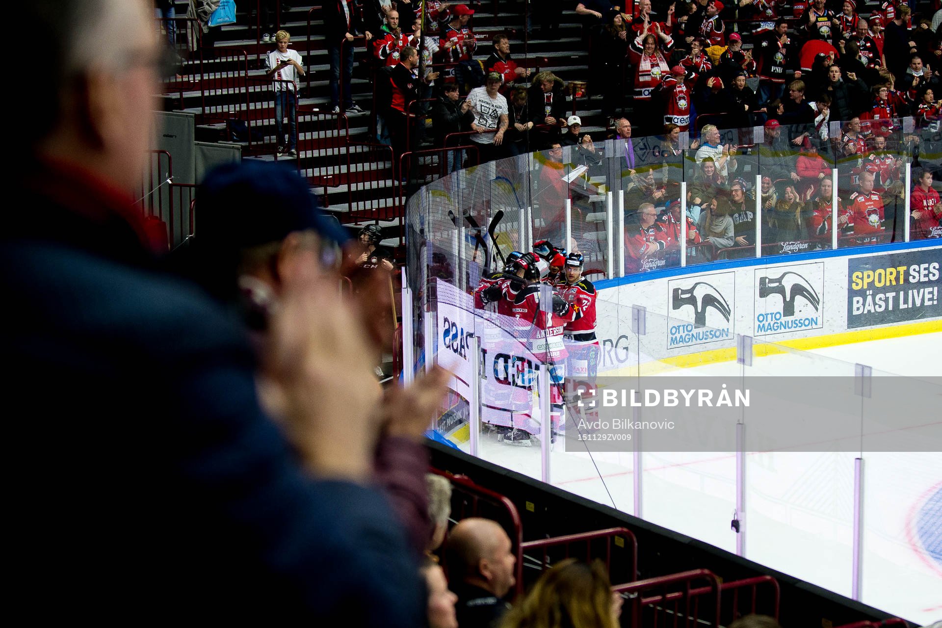 Malmö Redhawks T.J. Galiardi jublar