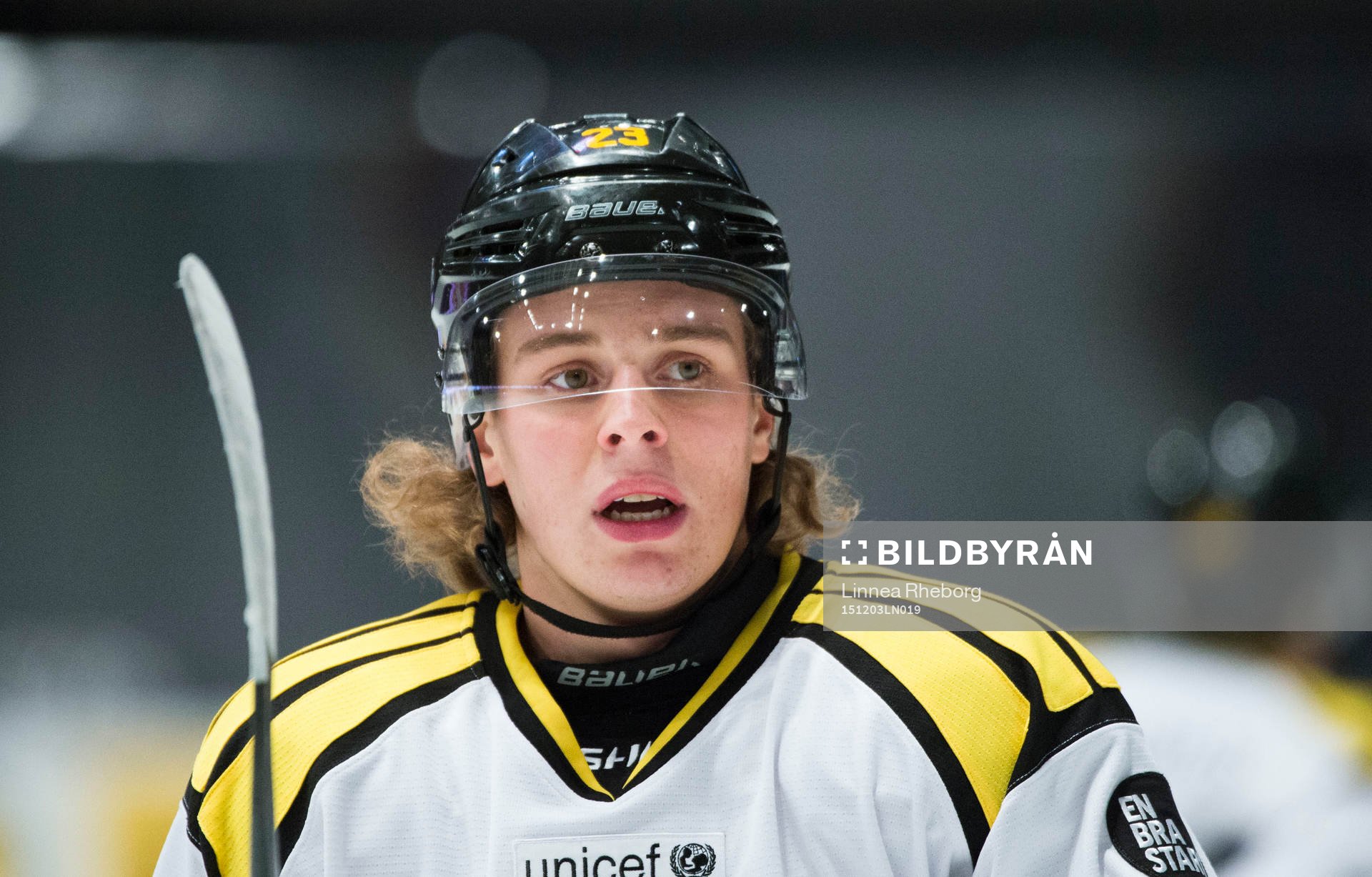 Brynäs Lucas Carlsson