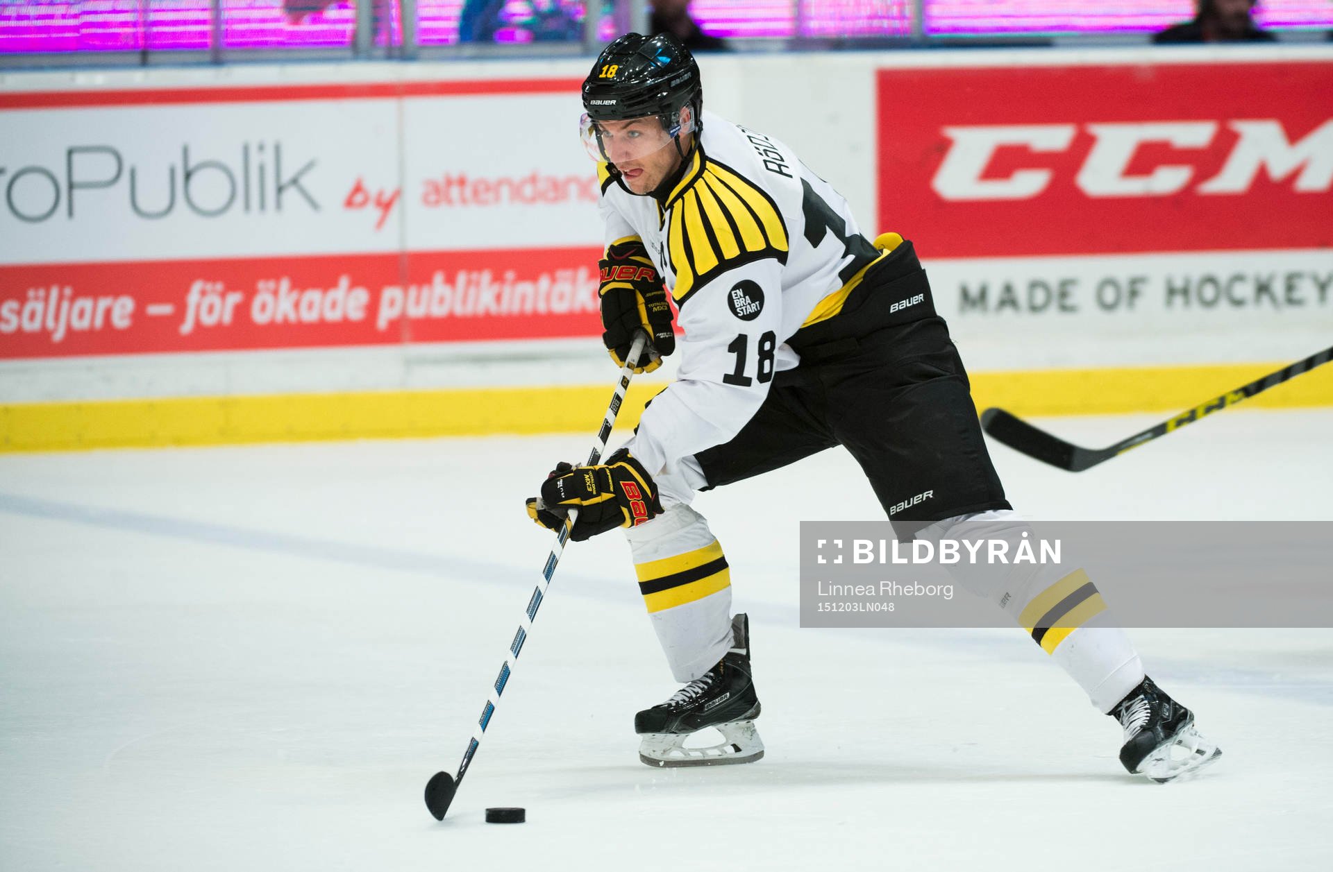 Brynäs Anton Rödin