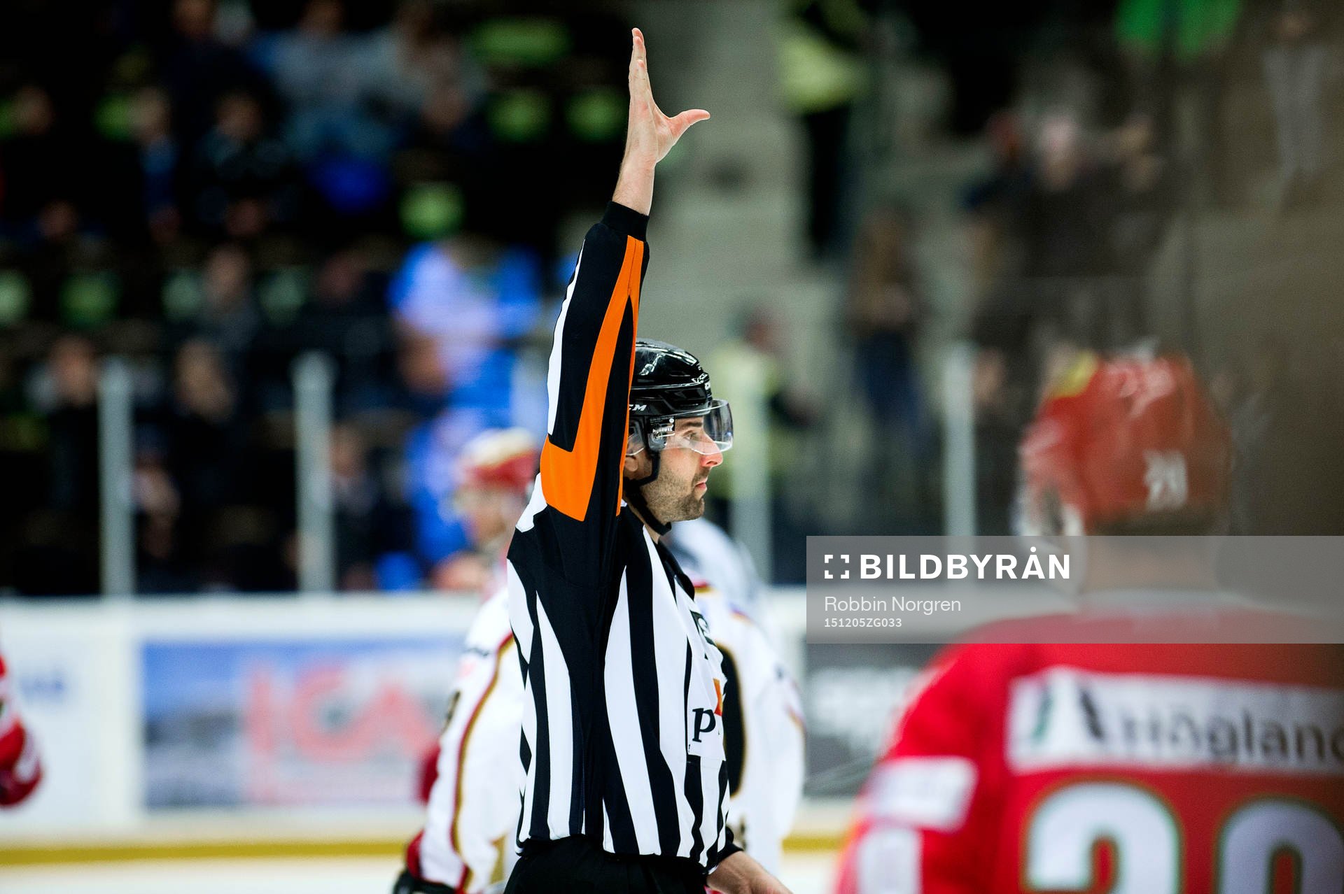 domaren Mikael Sjöqvist