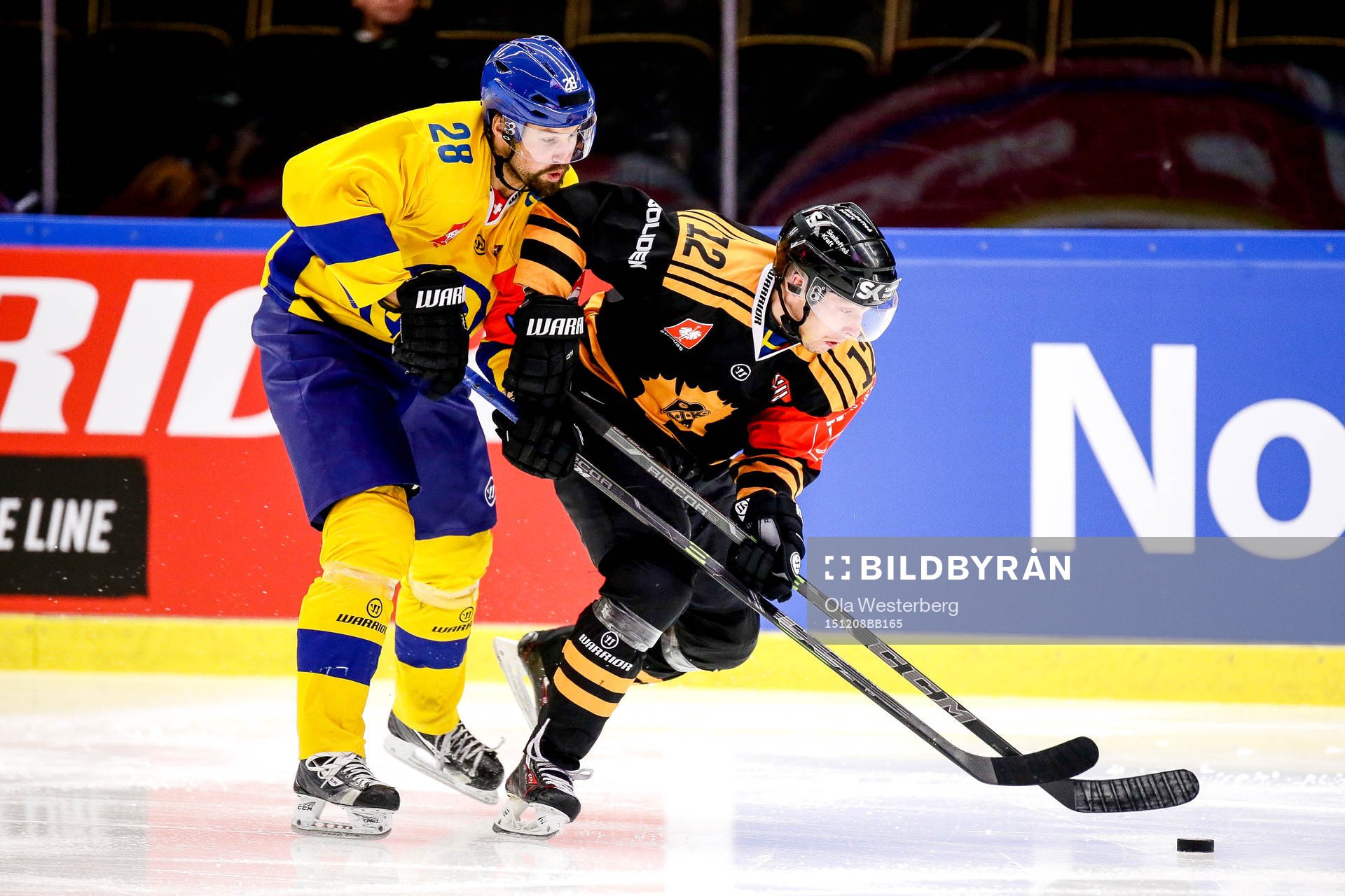 Skellefteås Adam Pettersson