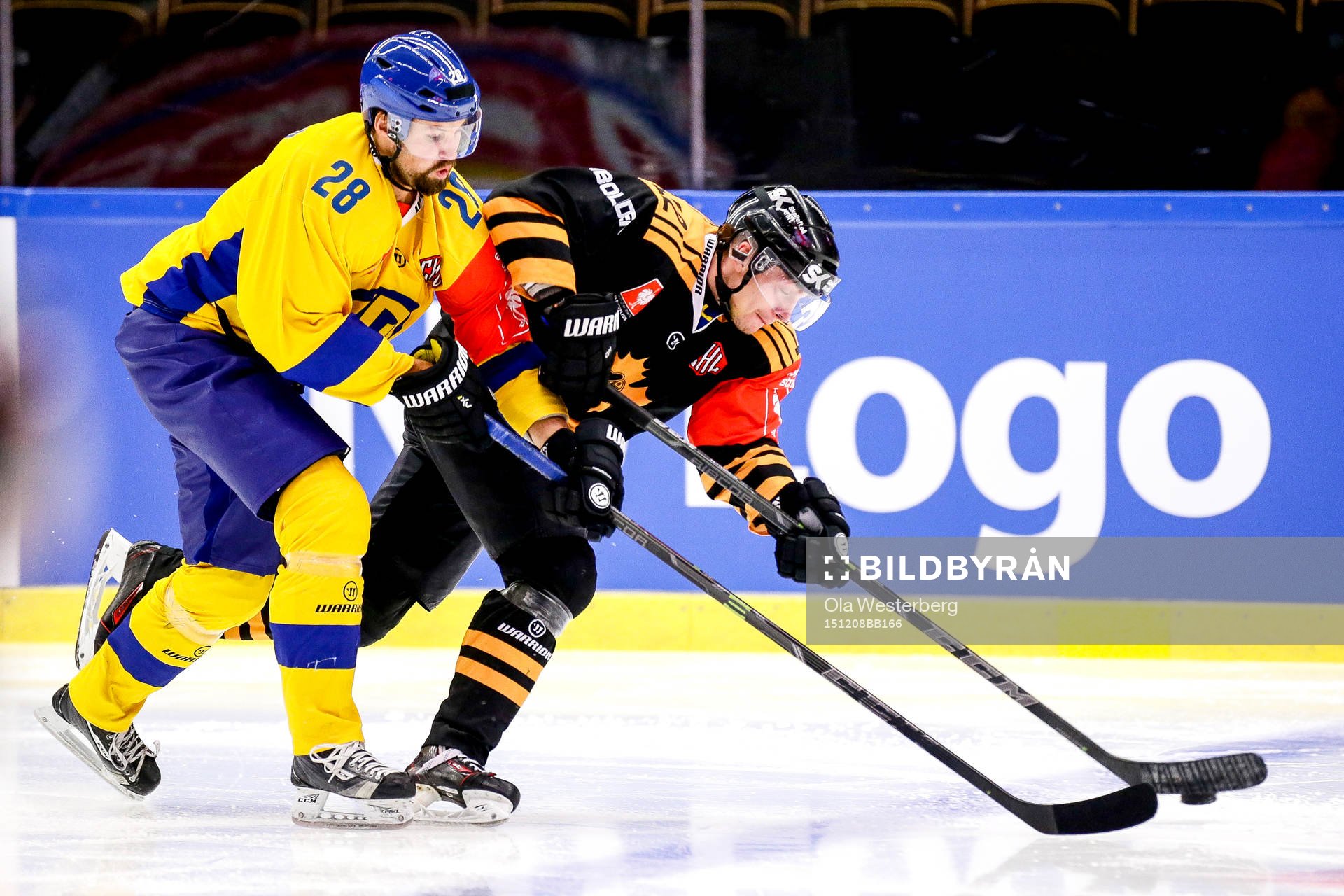 Skellefteås Adam Pettersson