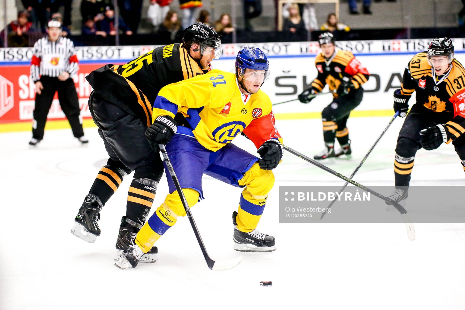 Skellefteås Alexander Urbom