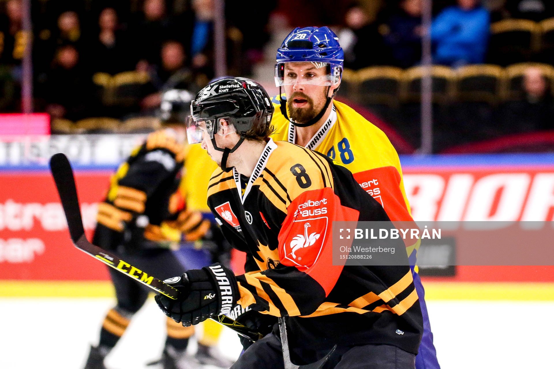 Skellefteås Marcus Pettersson