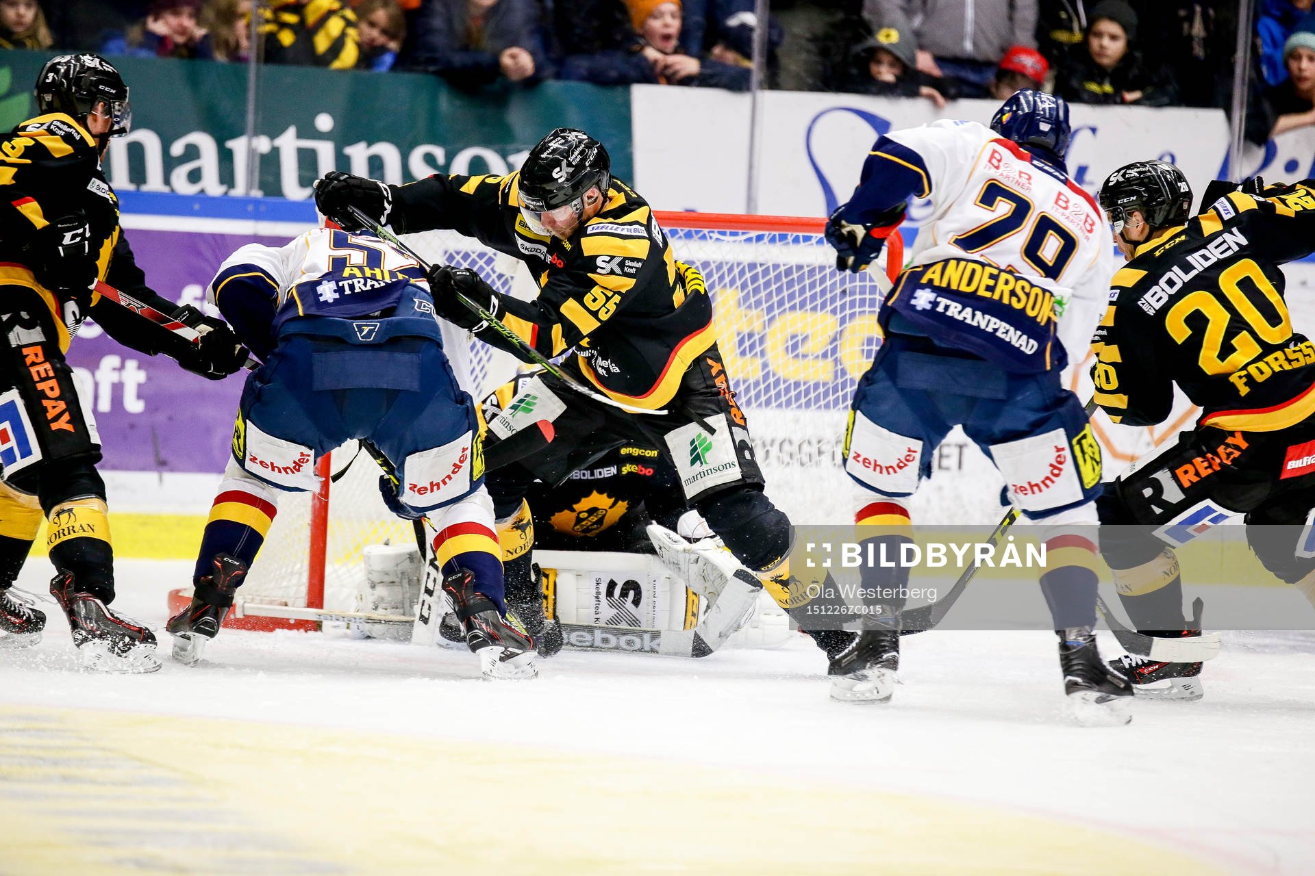 Skellefteås spelare