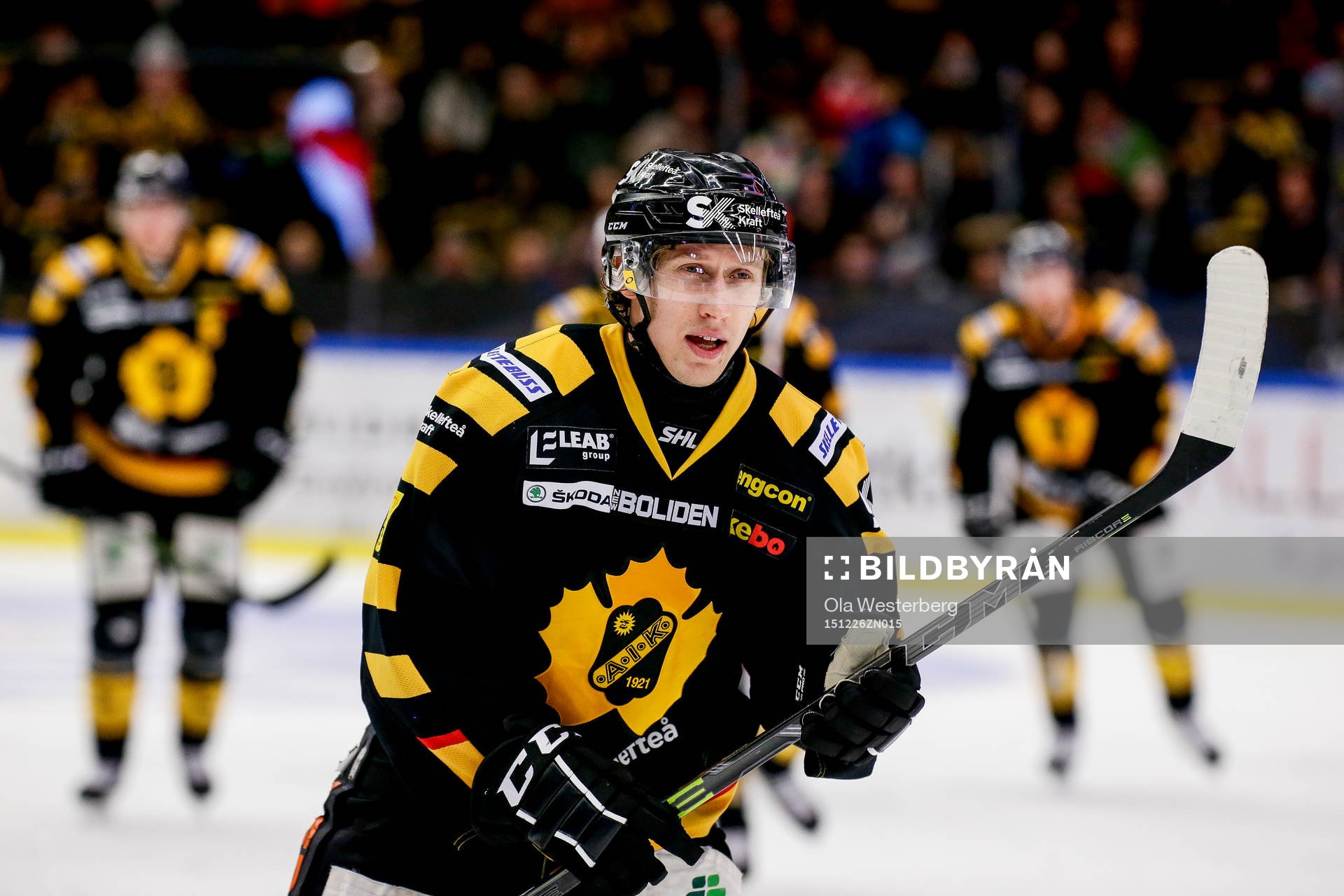 Skellefteås John Norman jublar