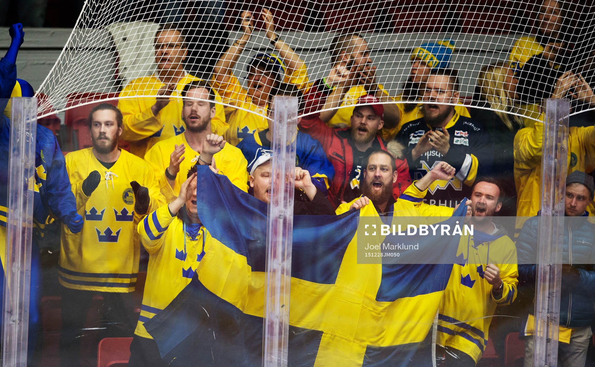 Svenska fans jublar