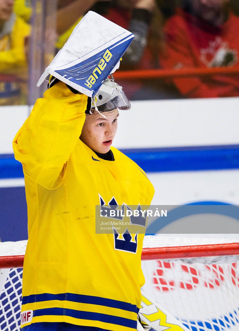 Sveriges målvakt Linus Söderström