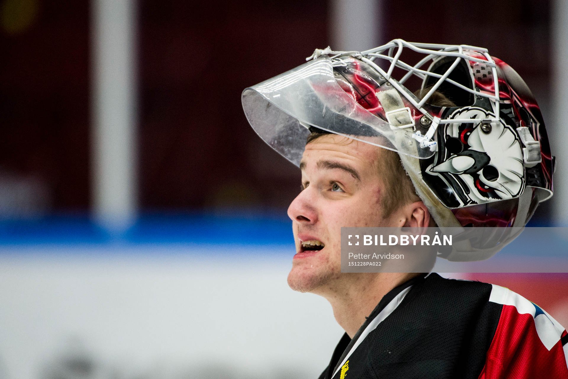Malmö Redhawks målvakt Tim Hultstrand