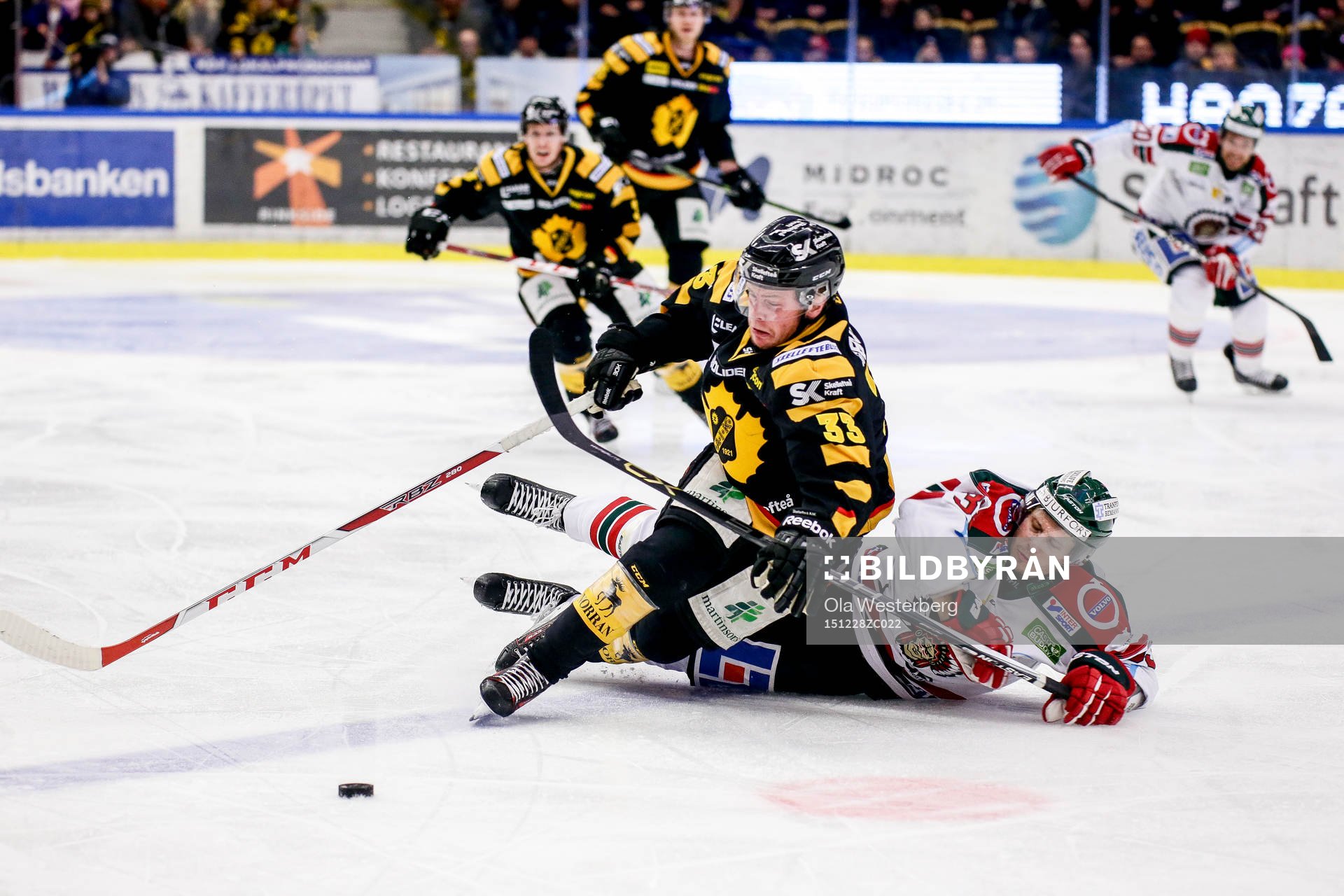 Skellefteås Sebastian Olsson