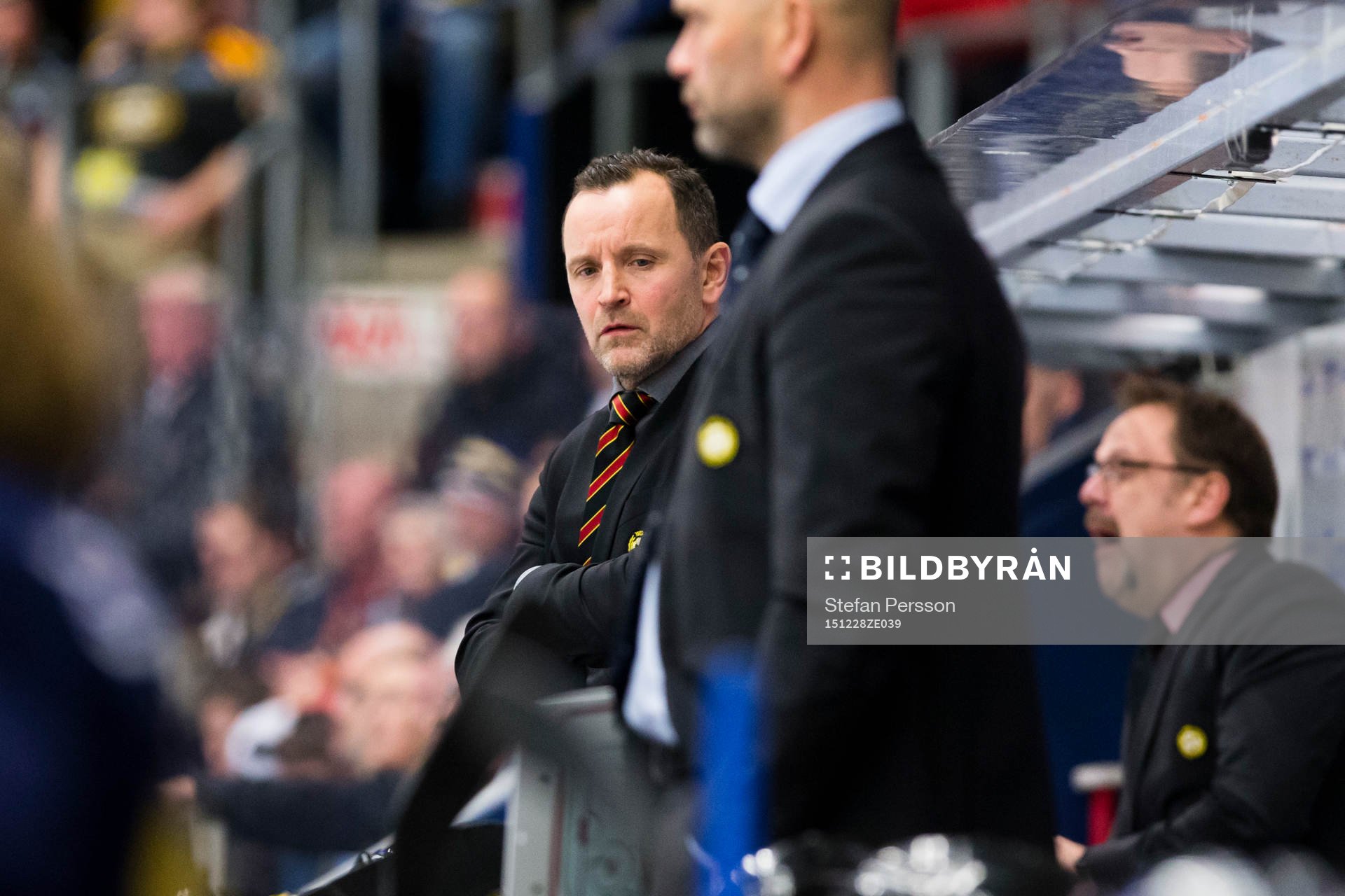 Brynäs tränare Thomas Berglund