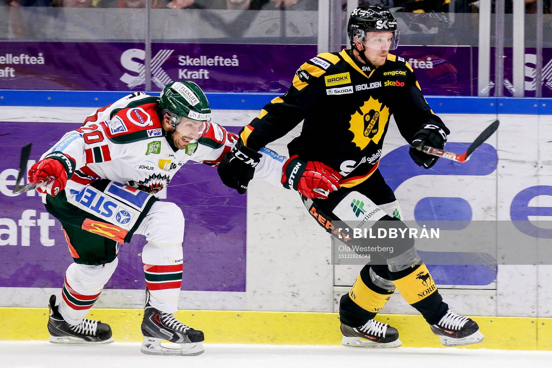 Skellefteås Tim Heed