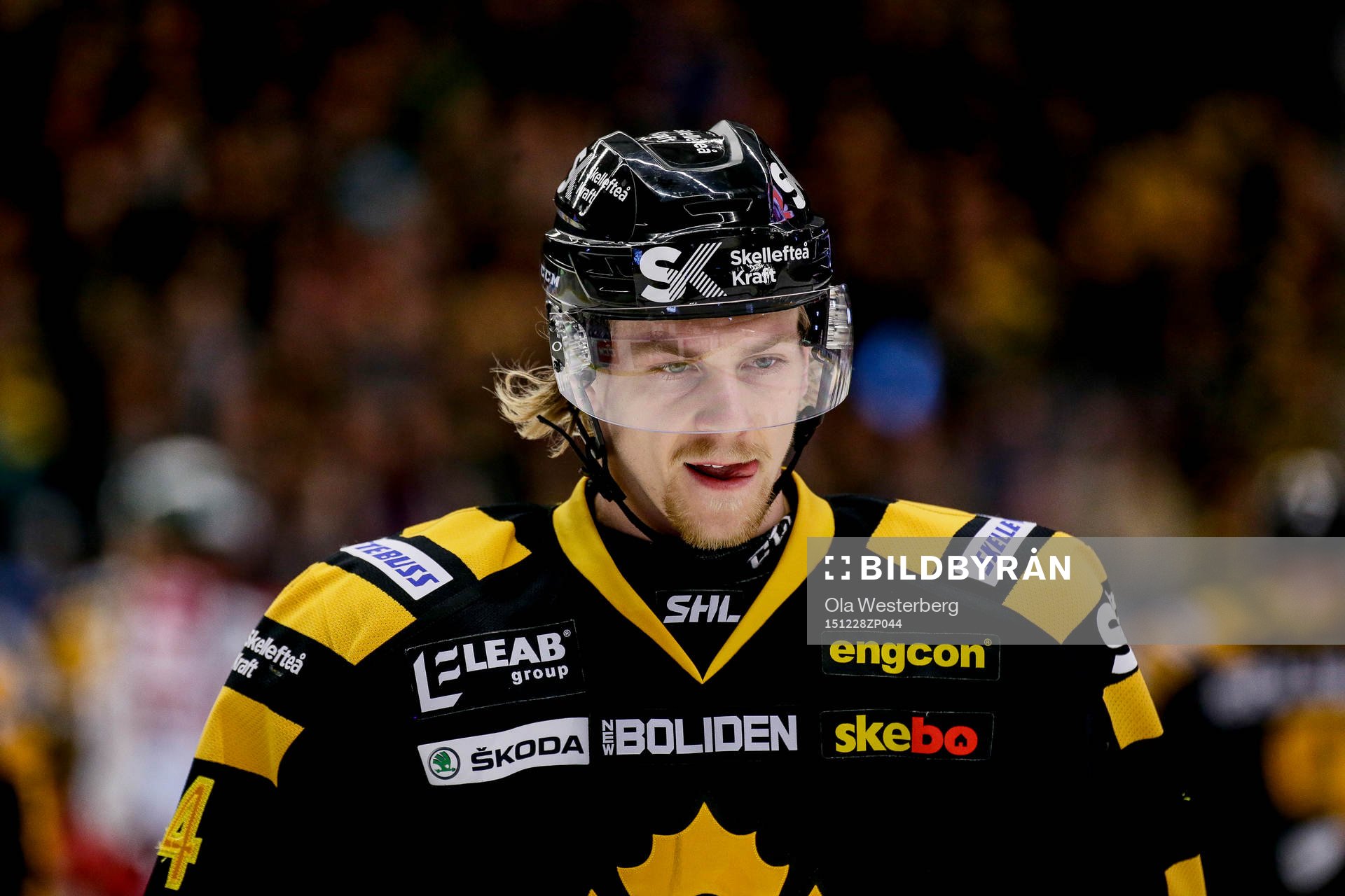 Skellefteås Anton Lindholm