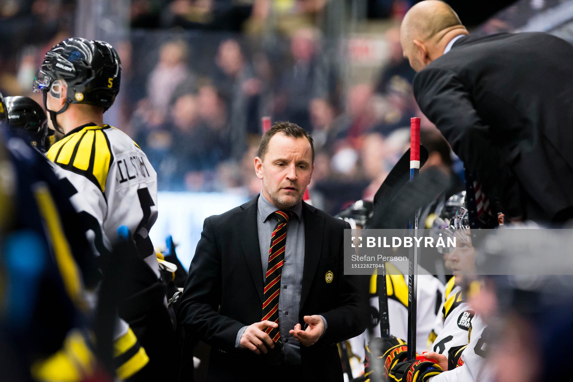 Brynäs tränare Thomas Berglund