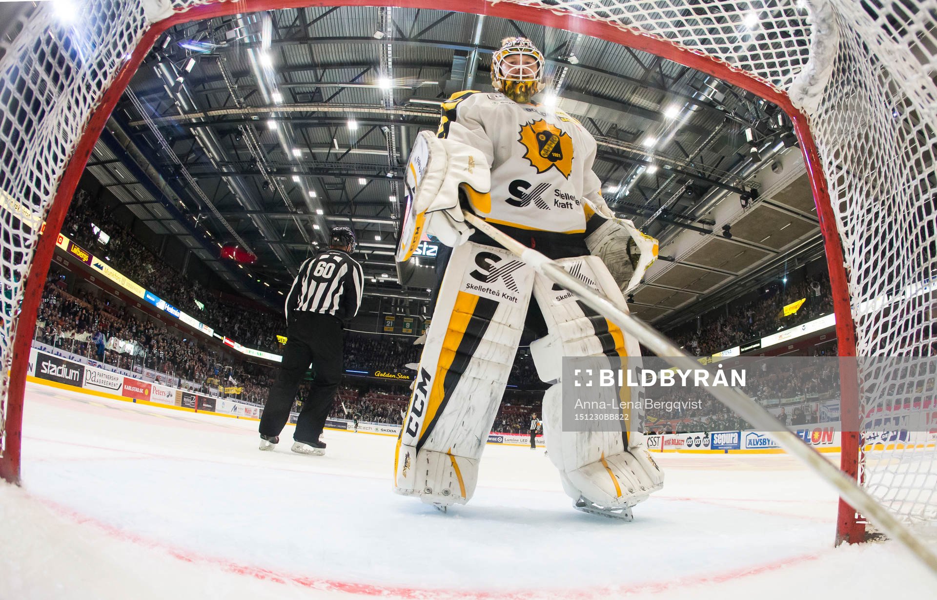 Skellefteås målvakt Erik Hanses hämtar pucken i målburen