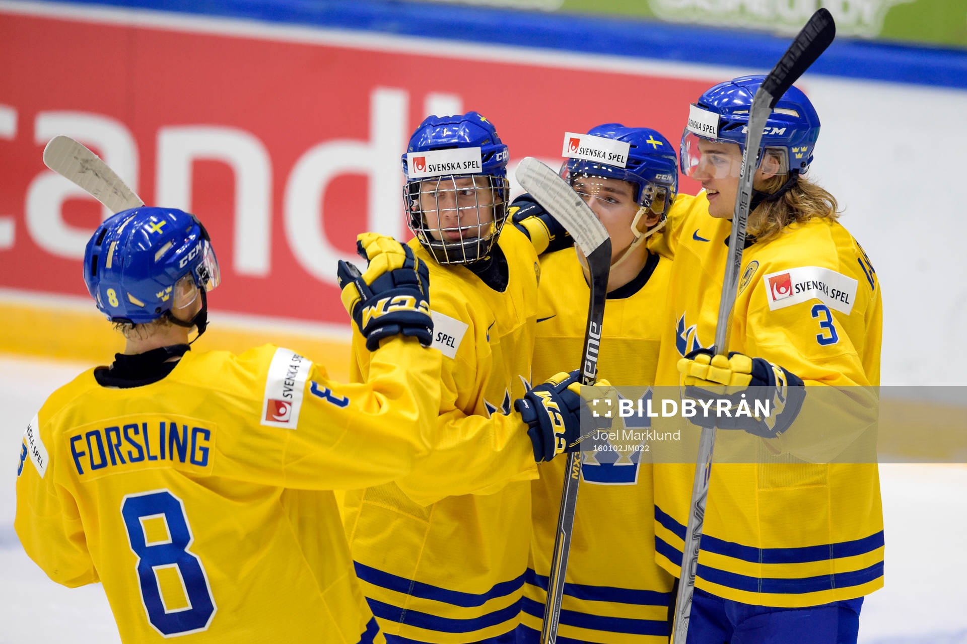 Sveriges Gustav Forsling, Alexander Nylander, Dmytro