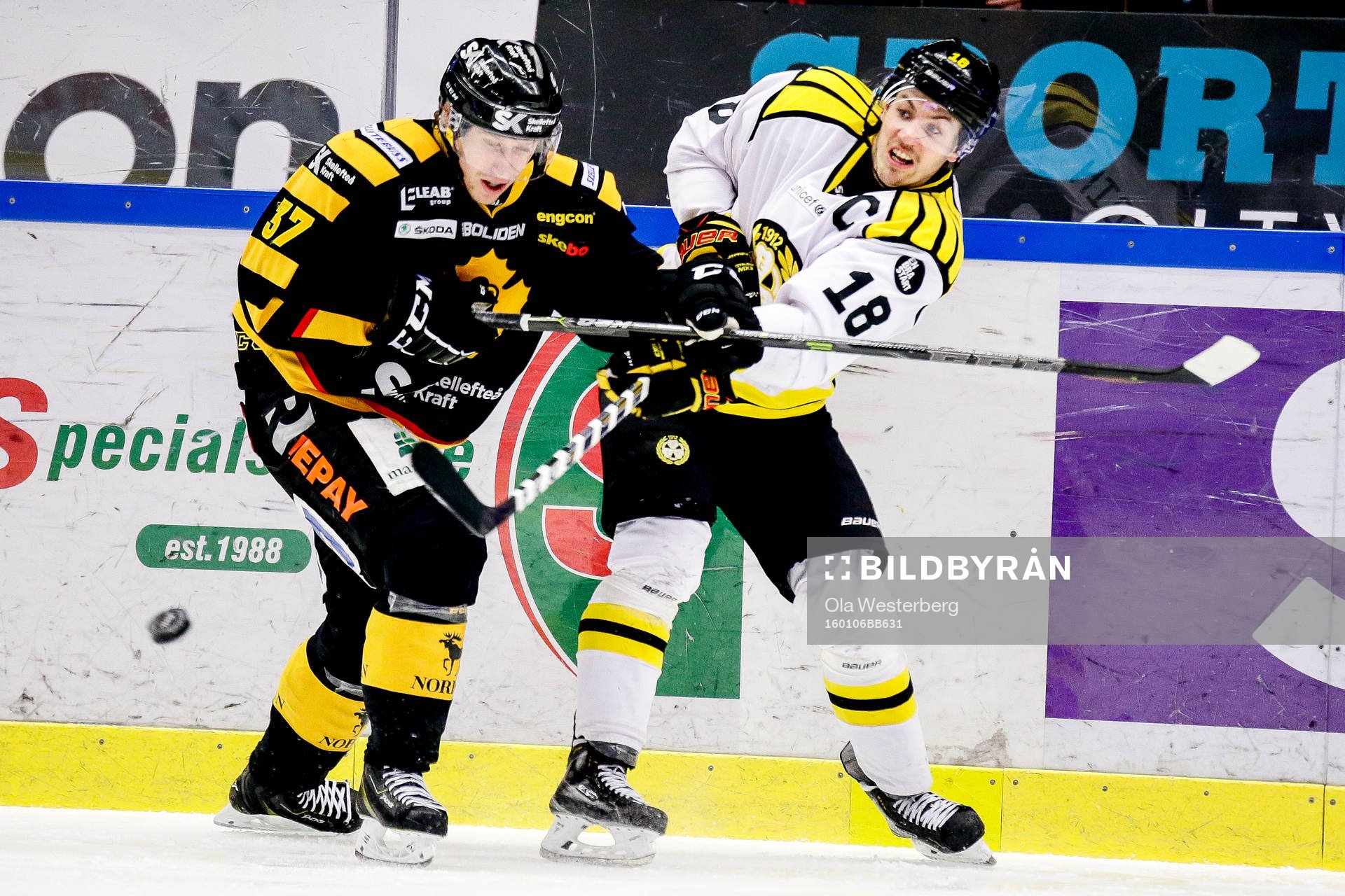 Skellefteås John Norman