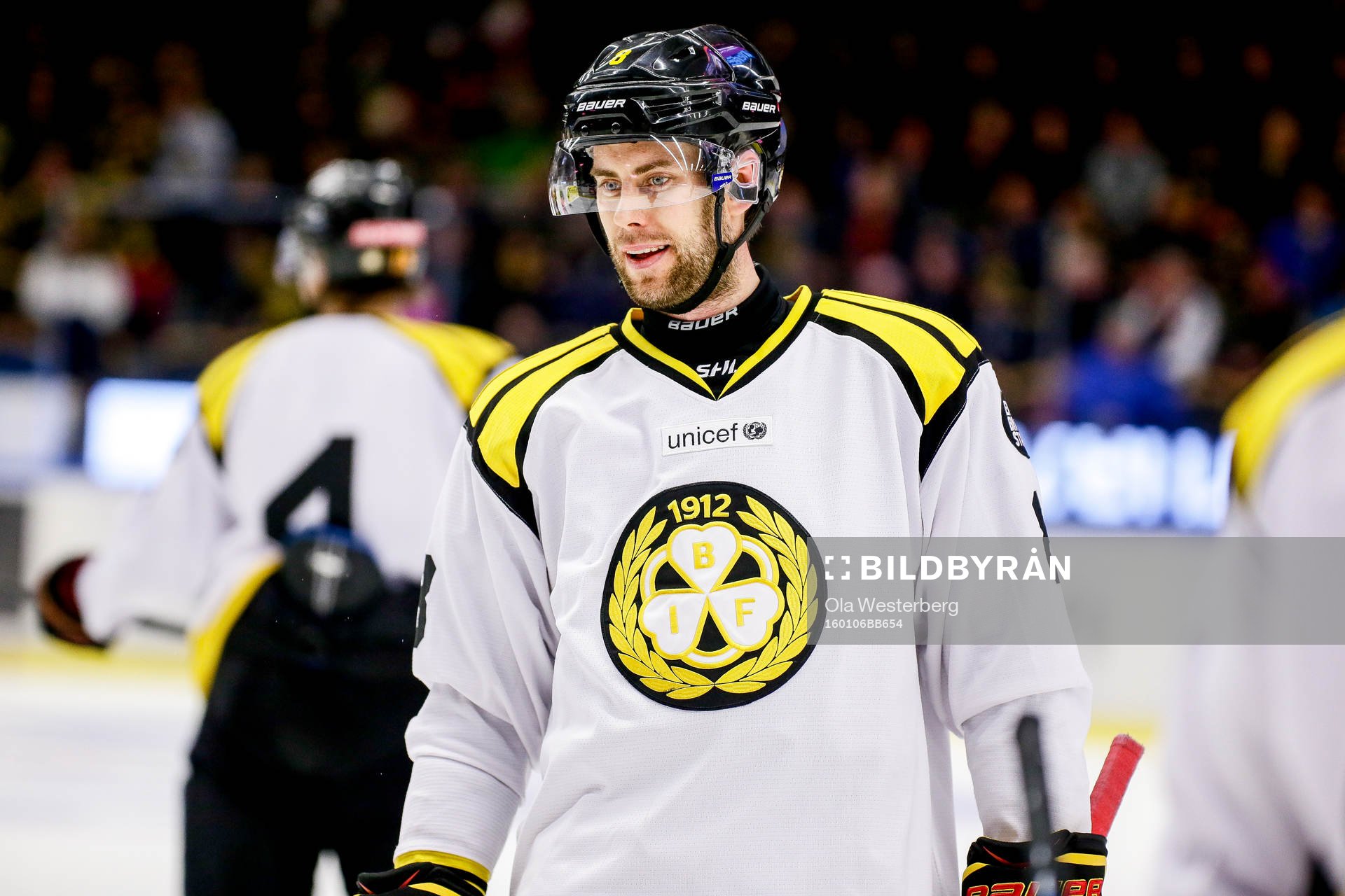 Brynäs Mathias Porseland