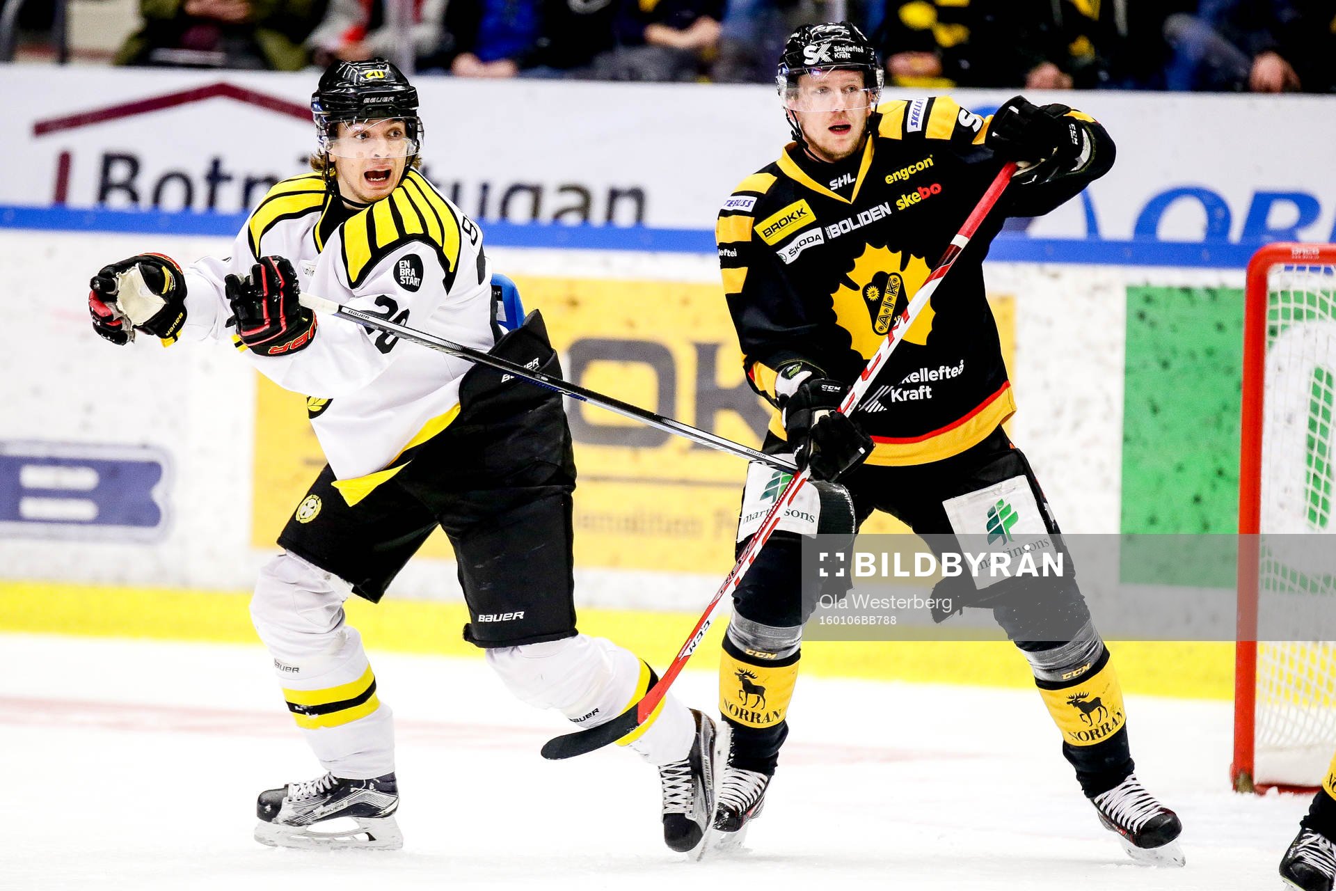 Skellefteås Tim Heed