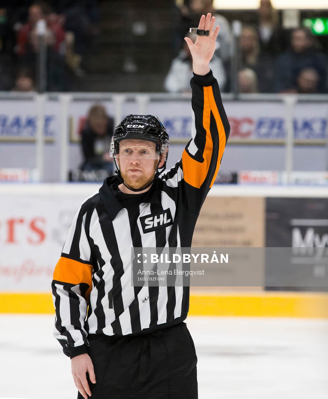 Domare Mikael Holm
