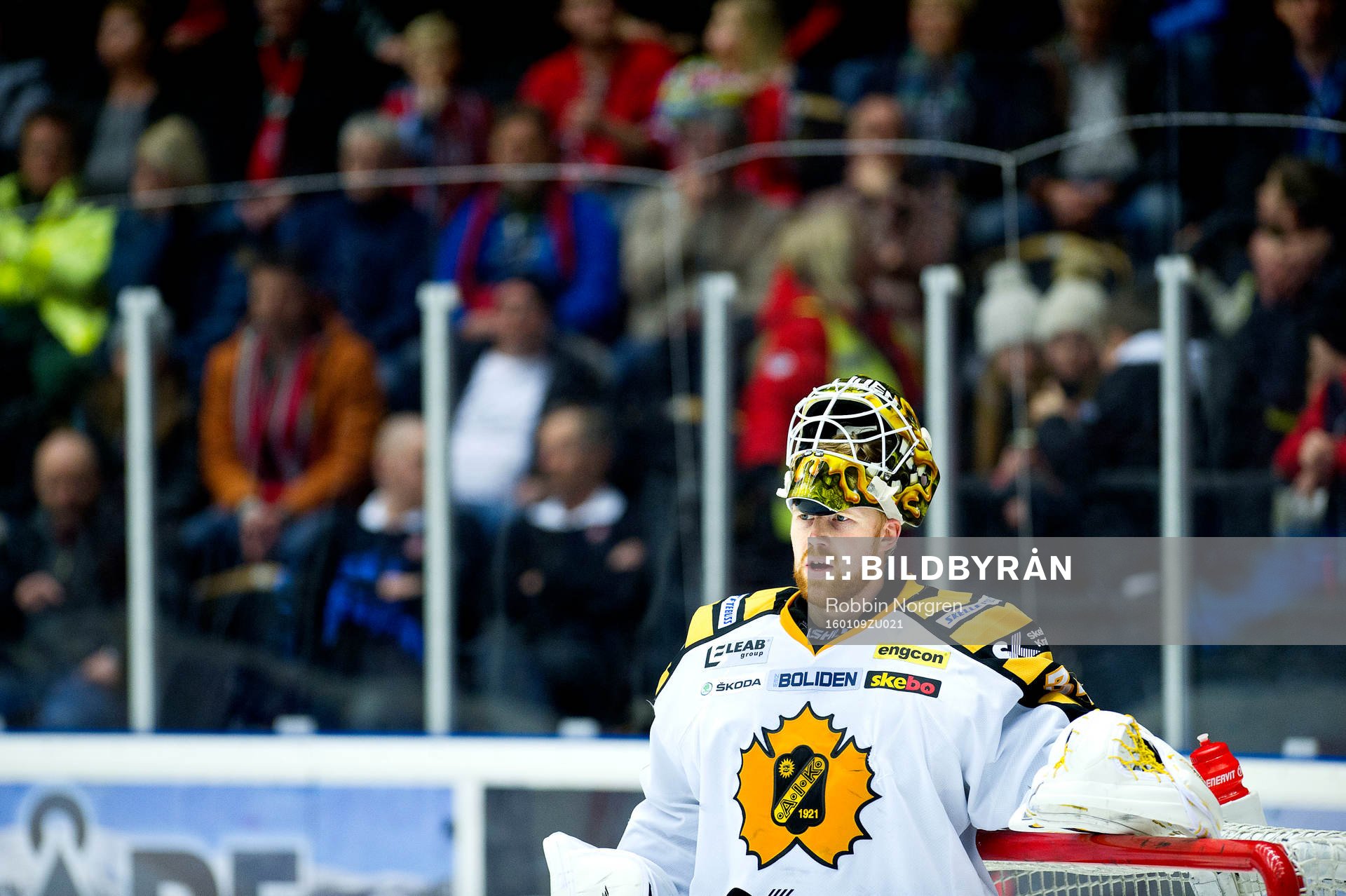 Skellefteås målvakt Erik Hanses