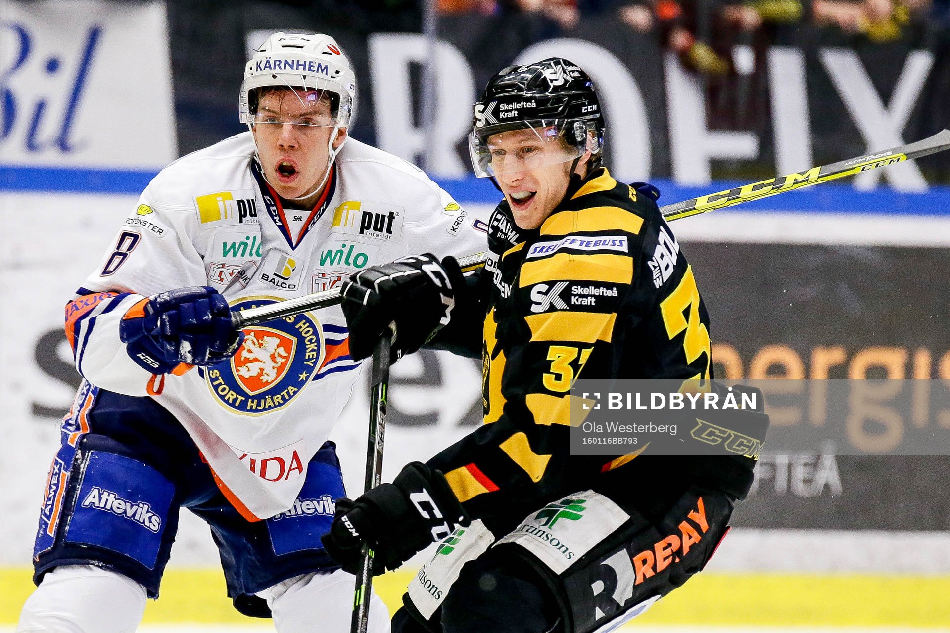 Skellefteås John Norman