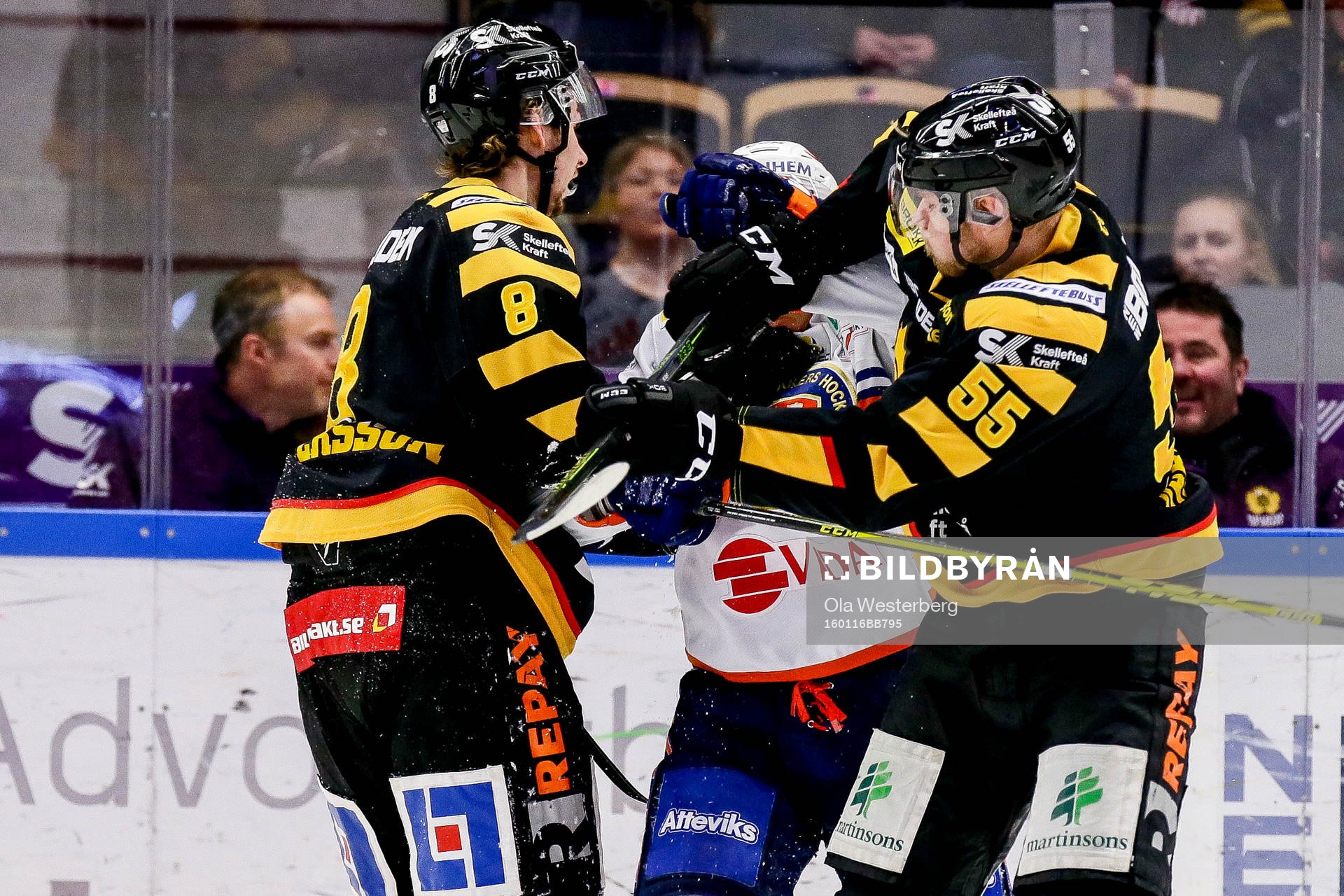 Skellefteås Marcus Pettersson och Alexander Urbom