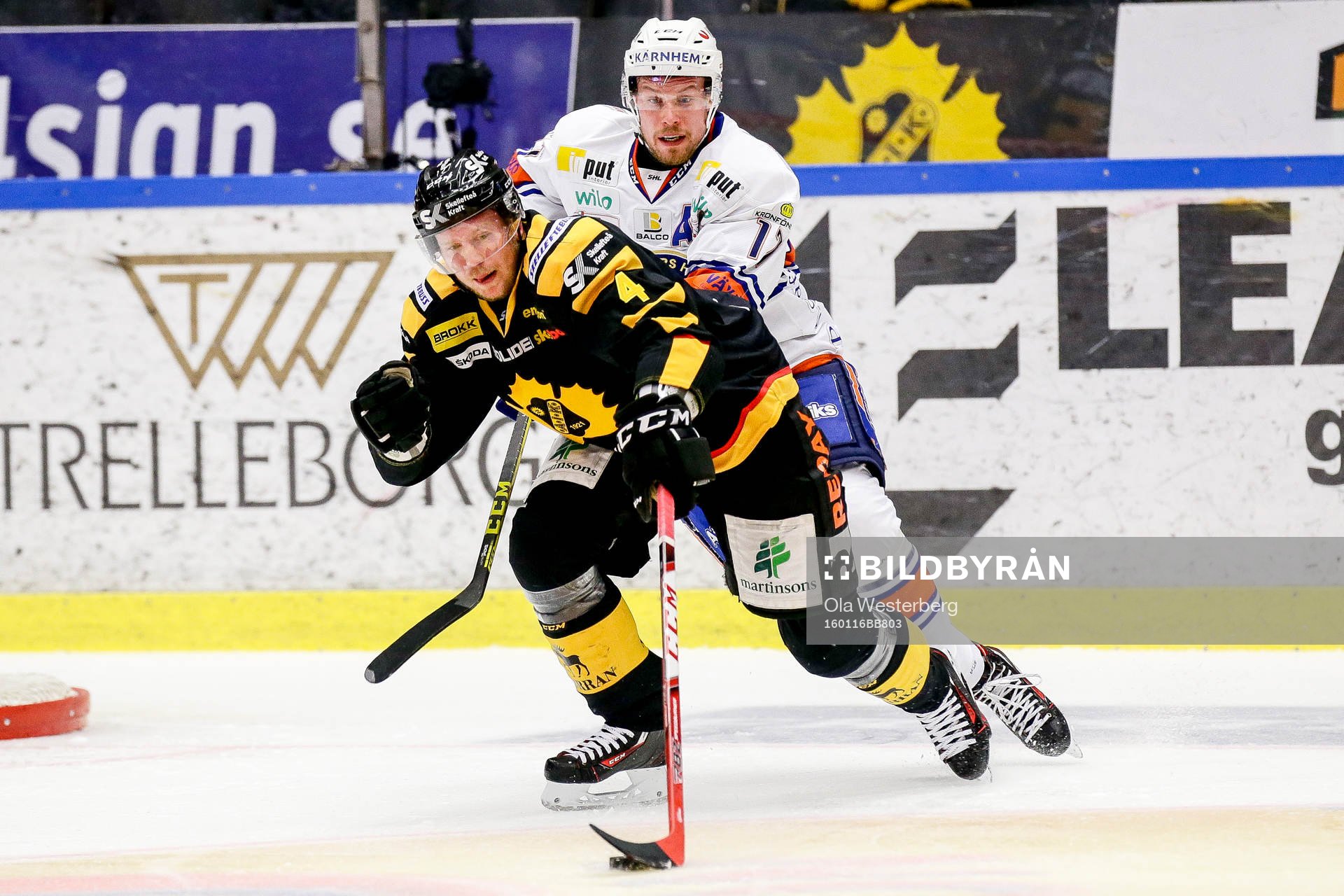 Skellefteås Tim Heed