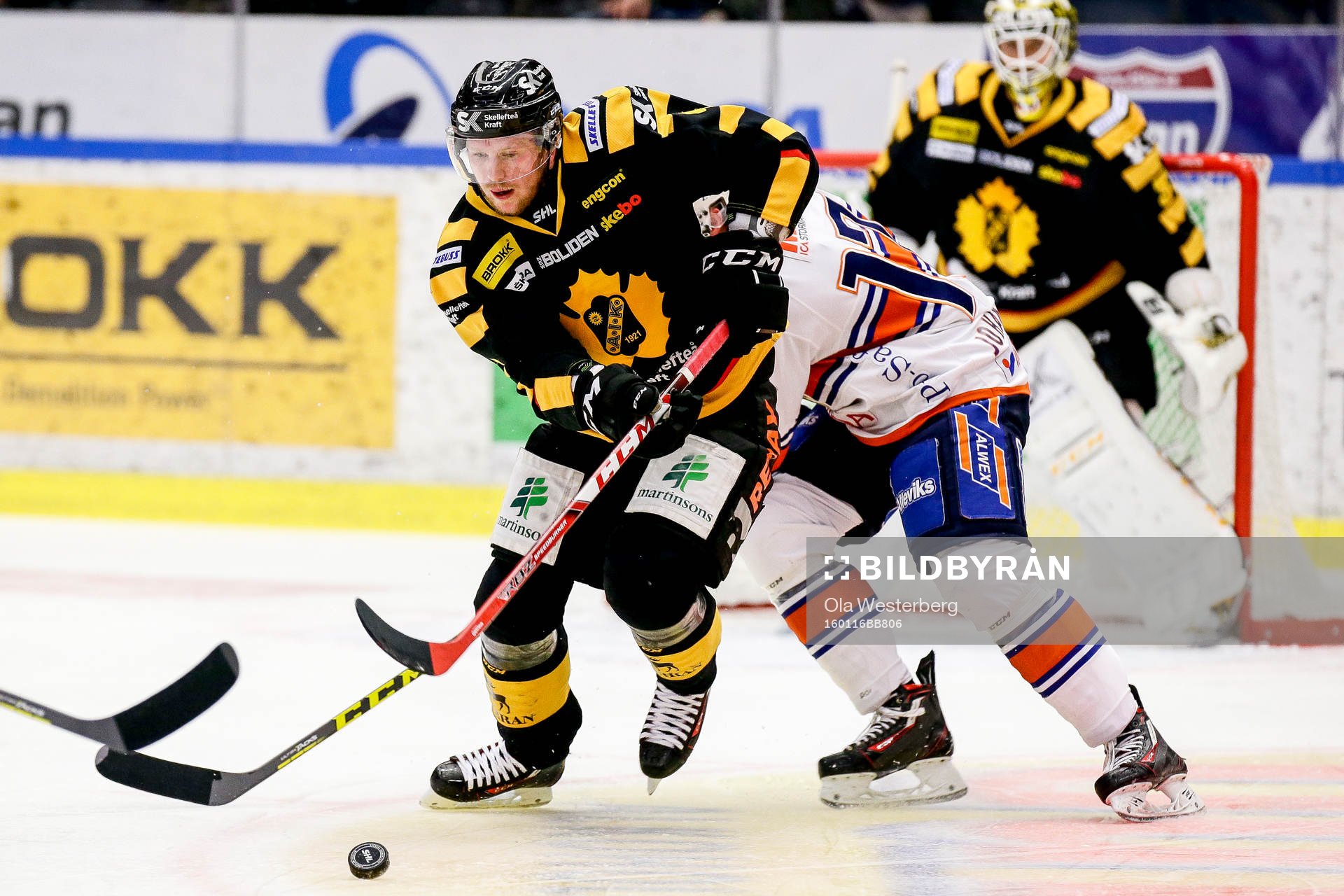 Skellefteås Tim Heed