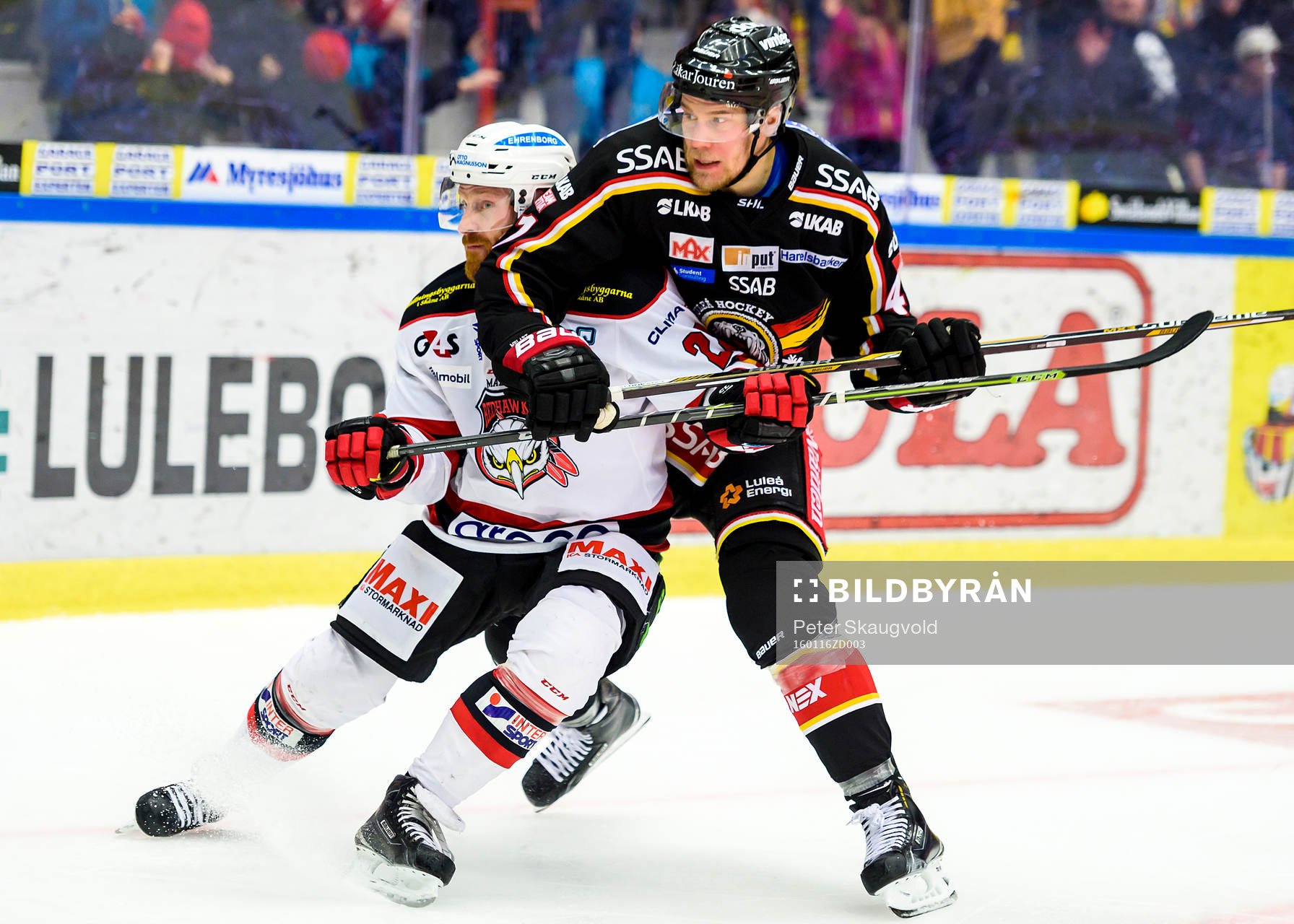 Malmö Redhawks Jens Olsson