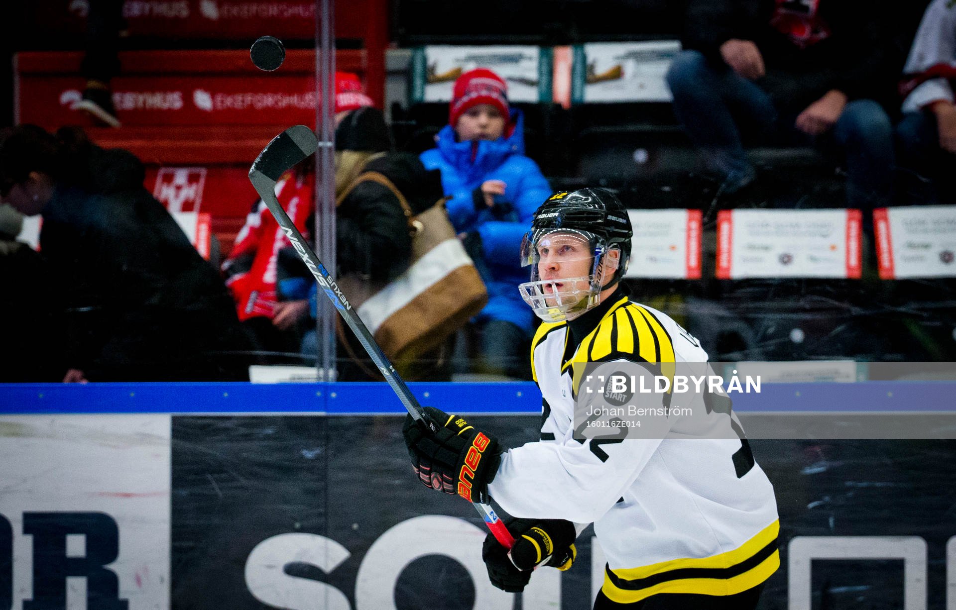 Brynäs Petr Vrana