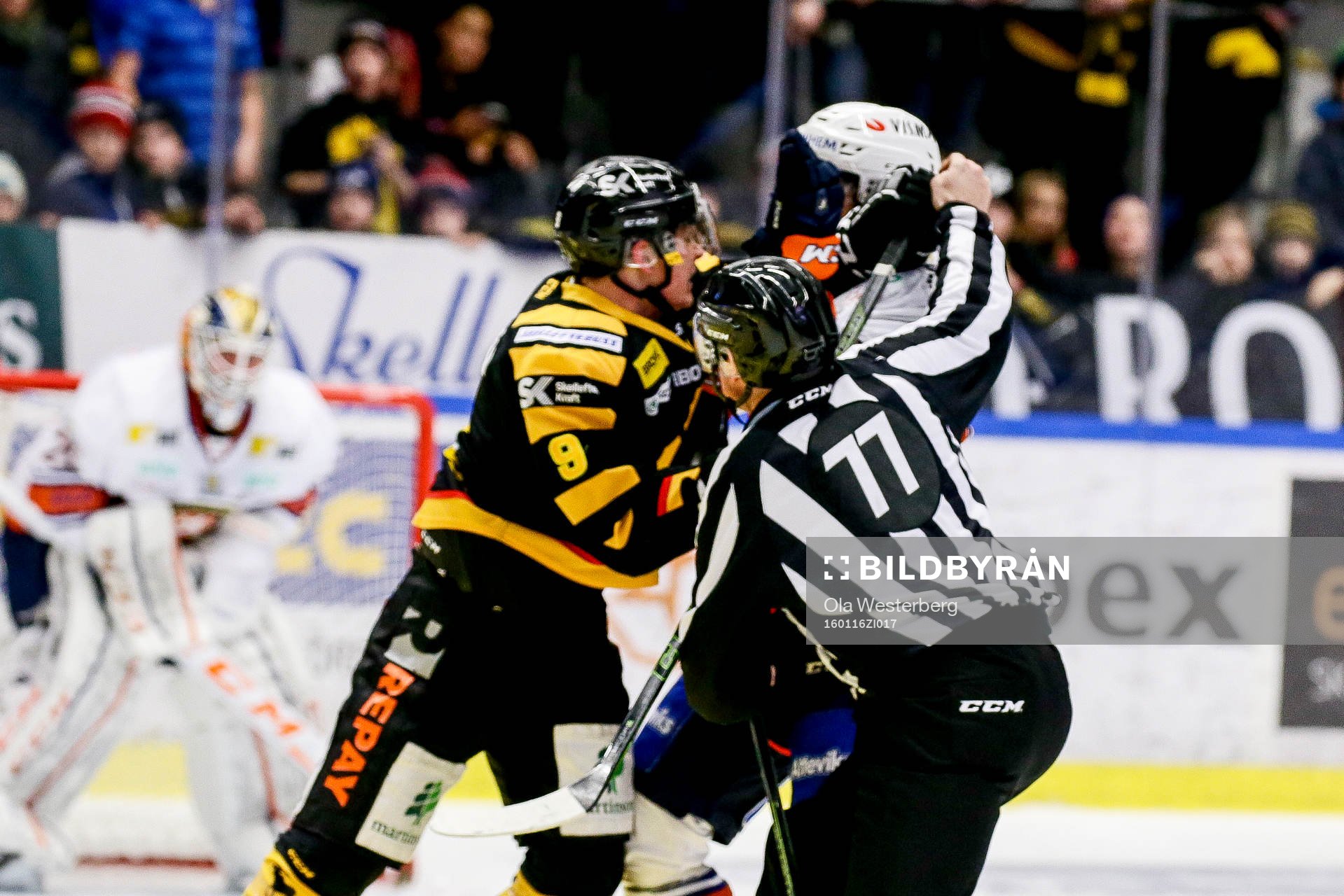 Skellefteås Patrik Zackrisson