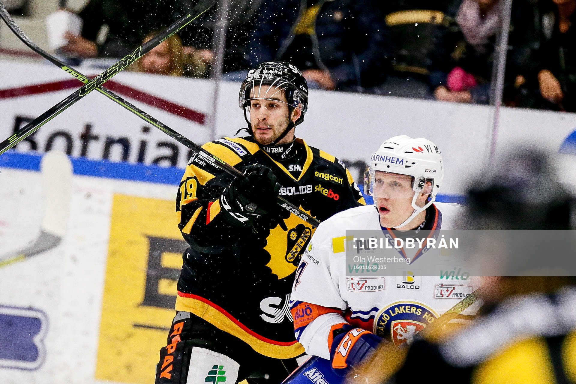 Skellefteås Andrew Calof
