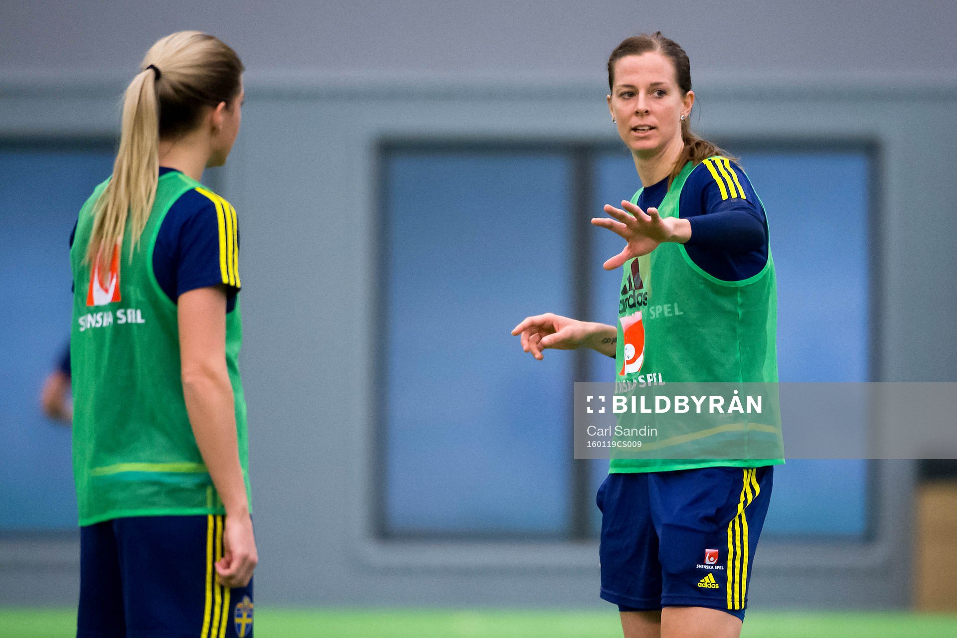 Lotta Schelin