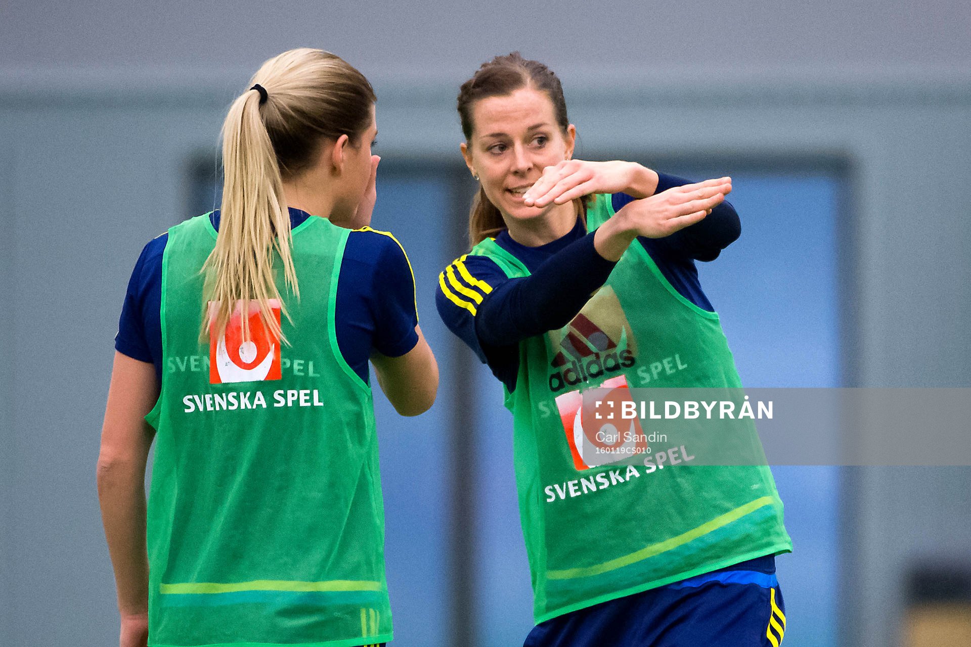 Lotta Schelin