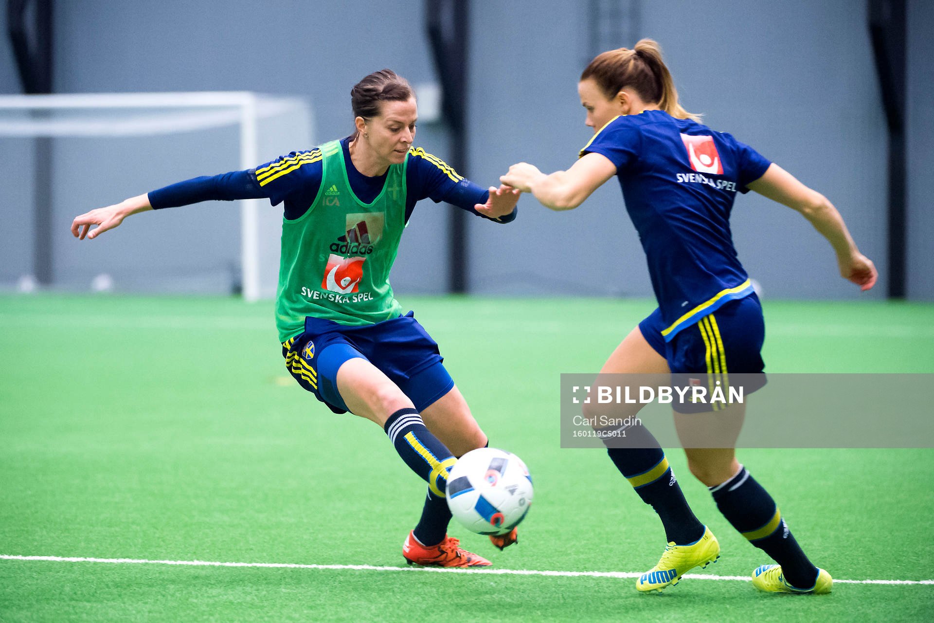 Lotta Schelin