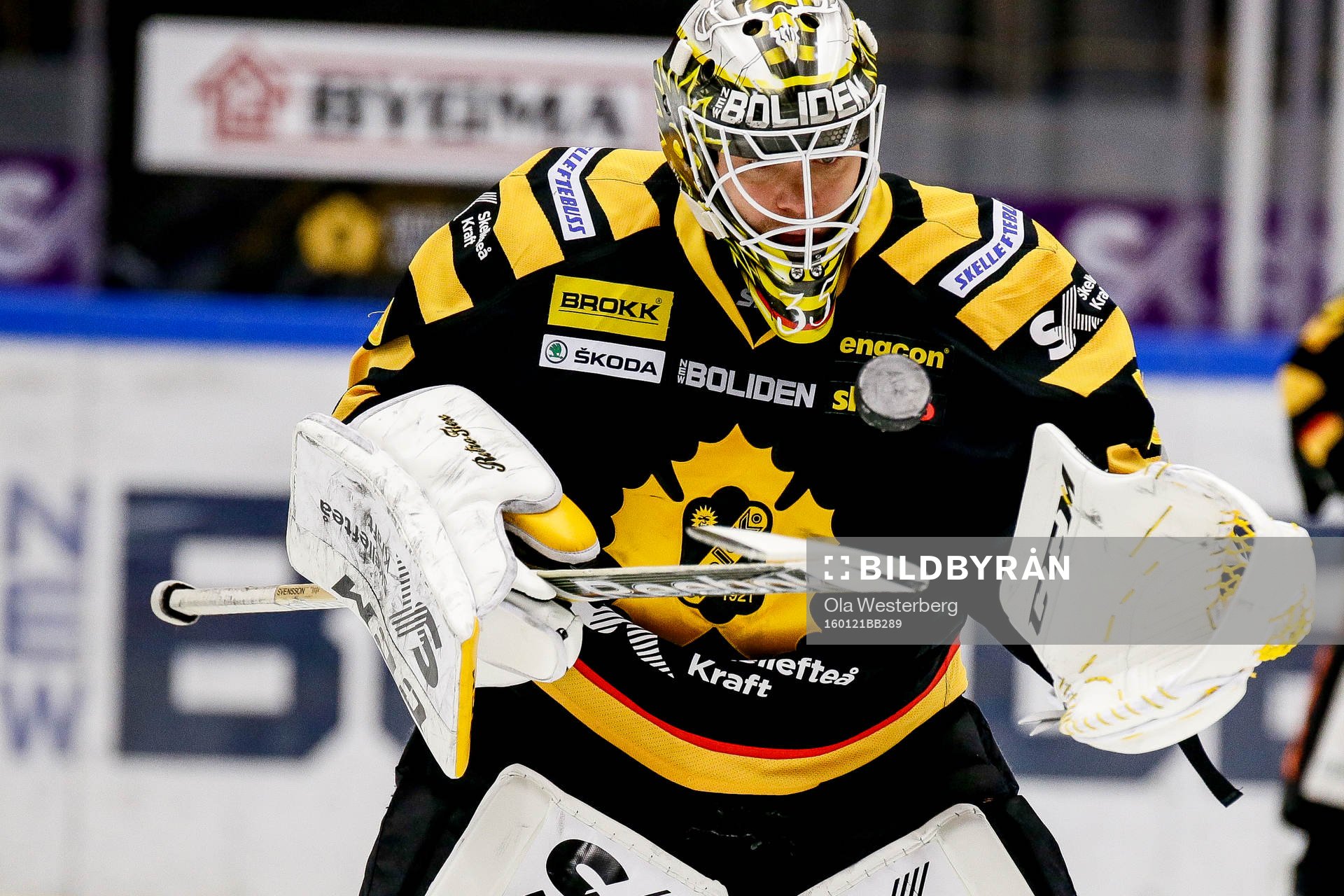 Skellefteås målvakt Markus Svensson