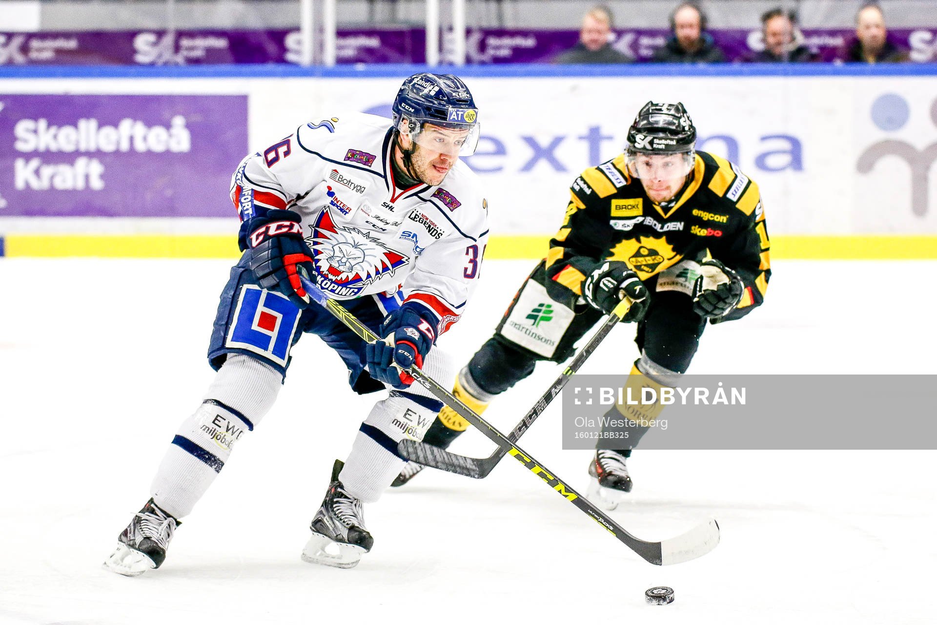 Skellefteås Adam Pettersson