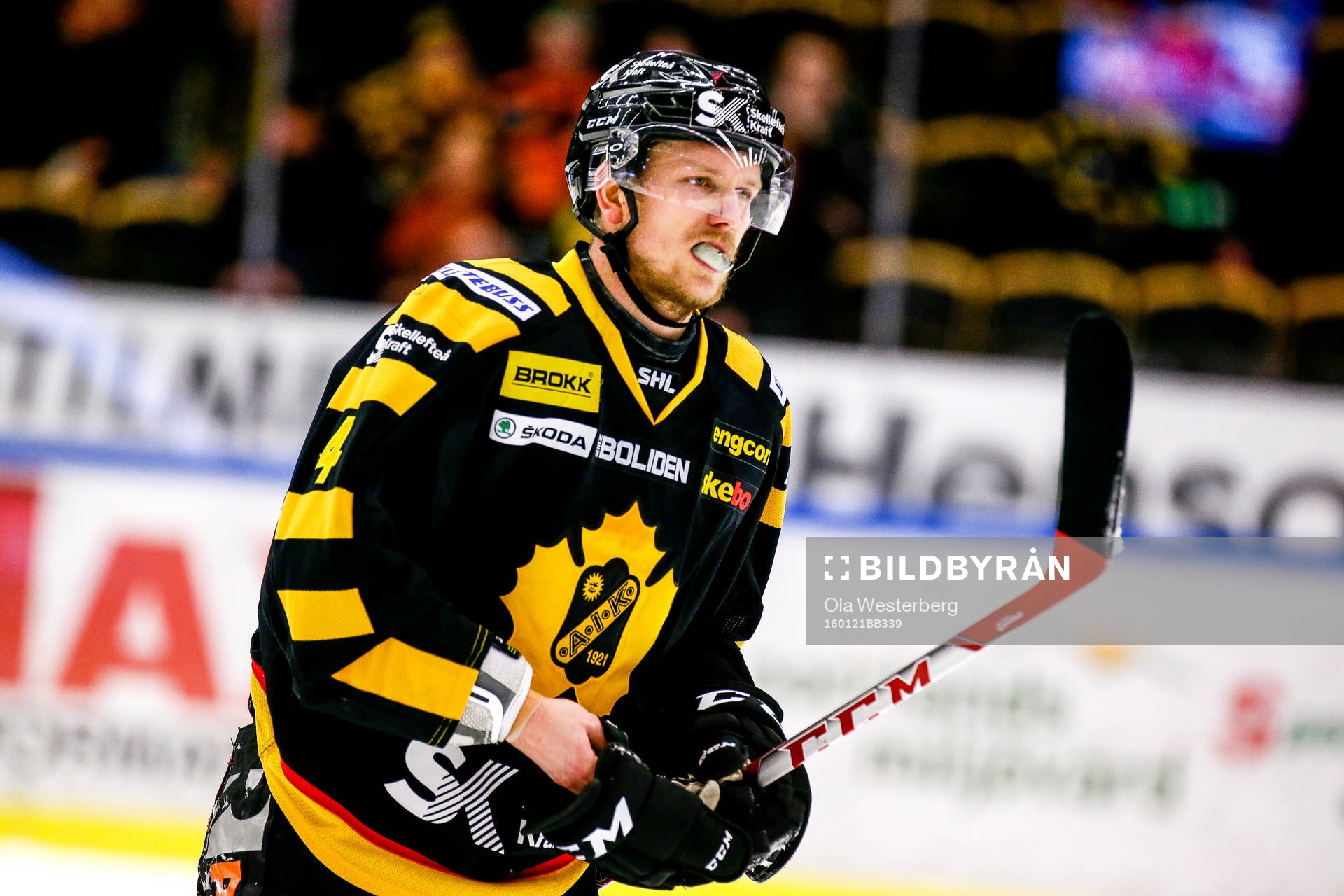 Skellefteås Tim Heed