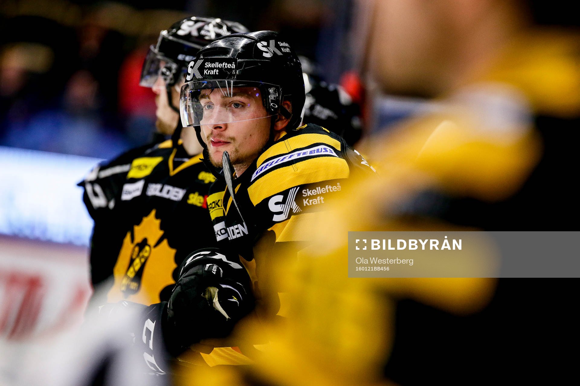 Skellefteås Adam Pettersson