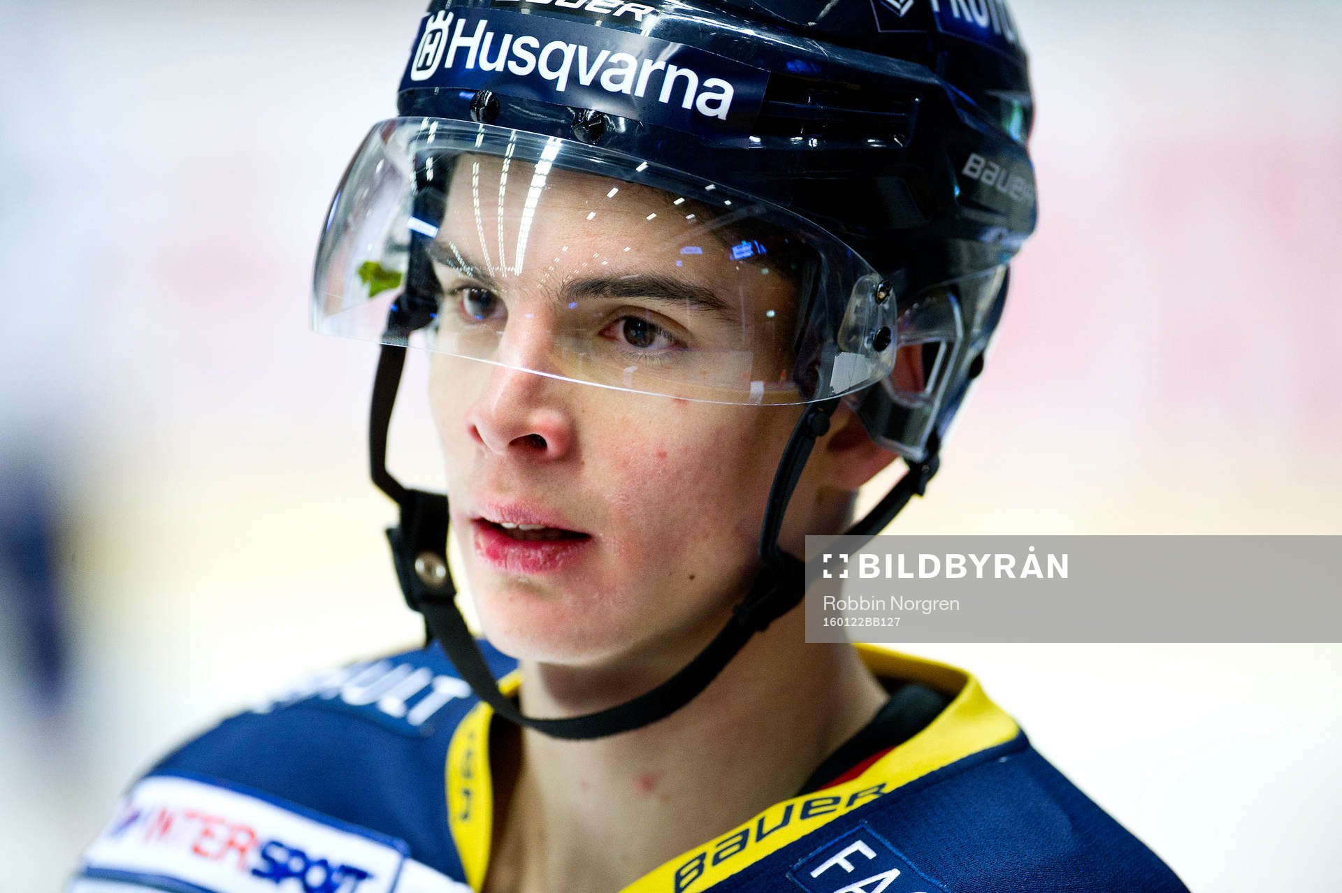 HV71s Filip Lestan