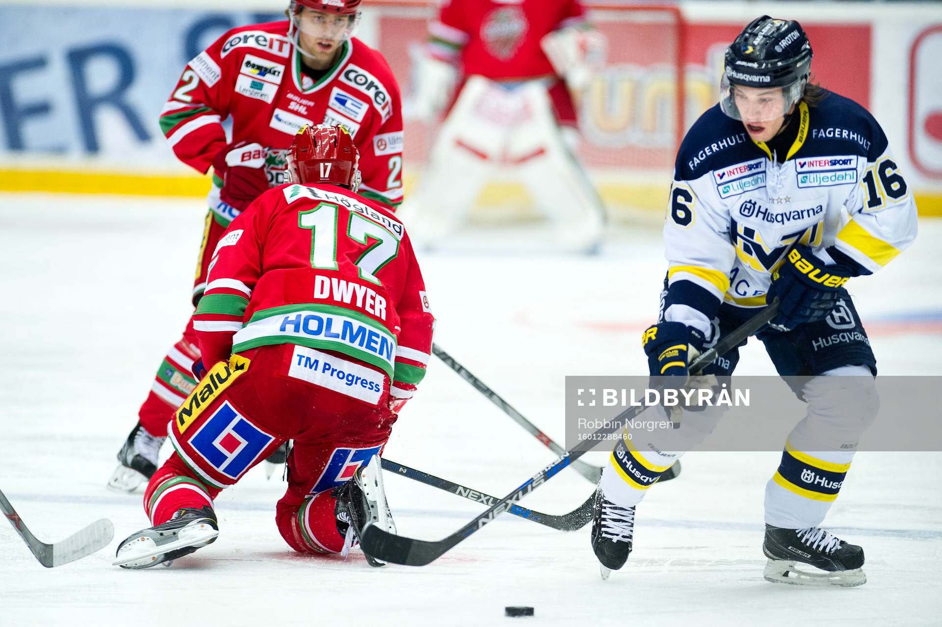 Modos Patrick Dwyer och HV71s Filip Sandberg