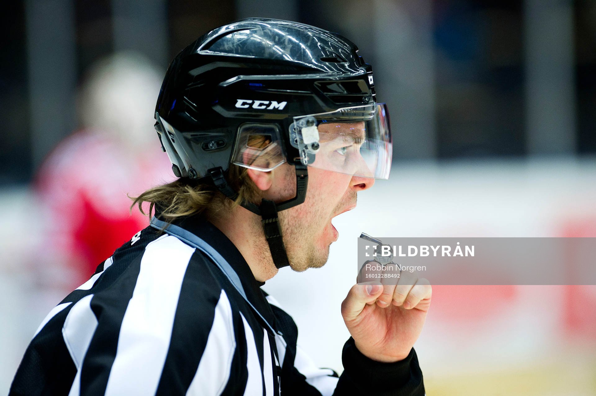 Domaren Daniel Persson