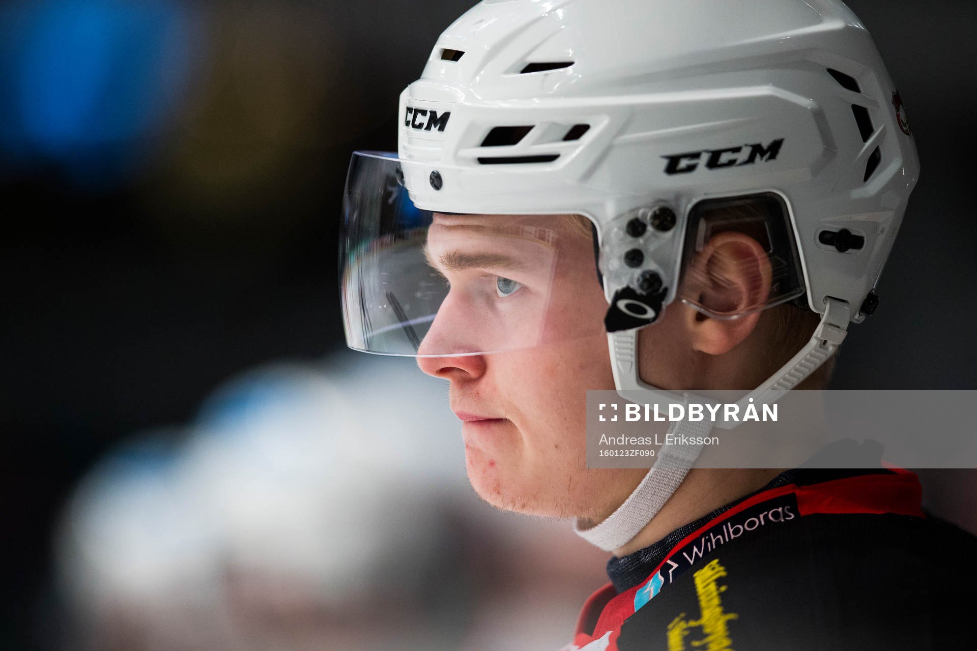 Malmö Redhawks Malte Sjögren