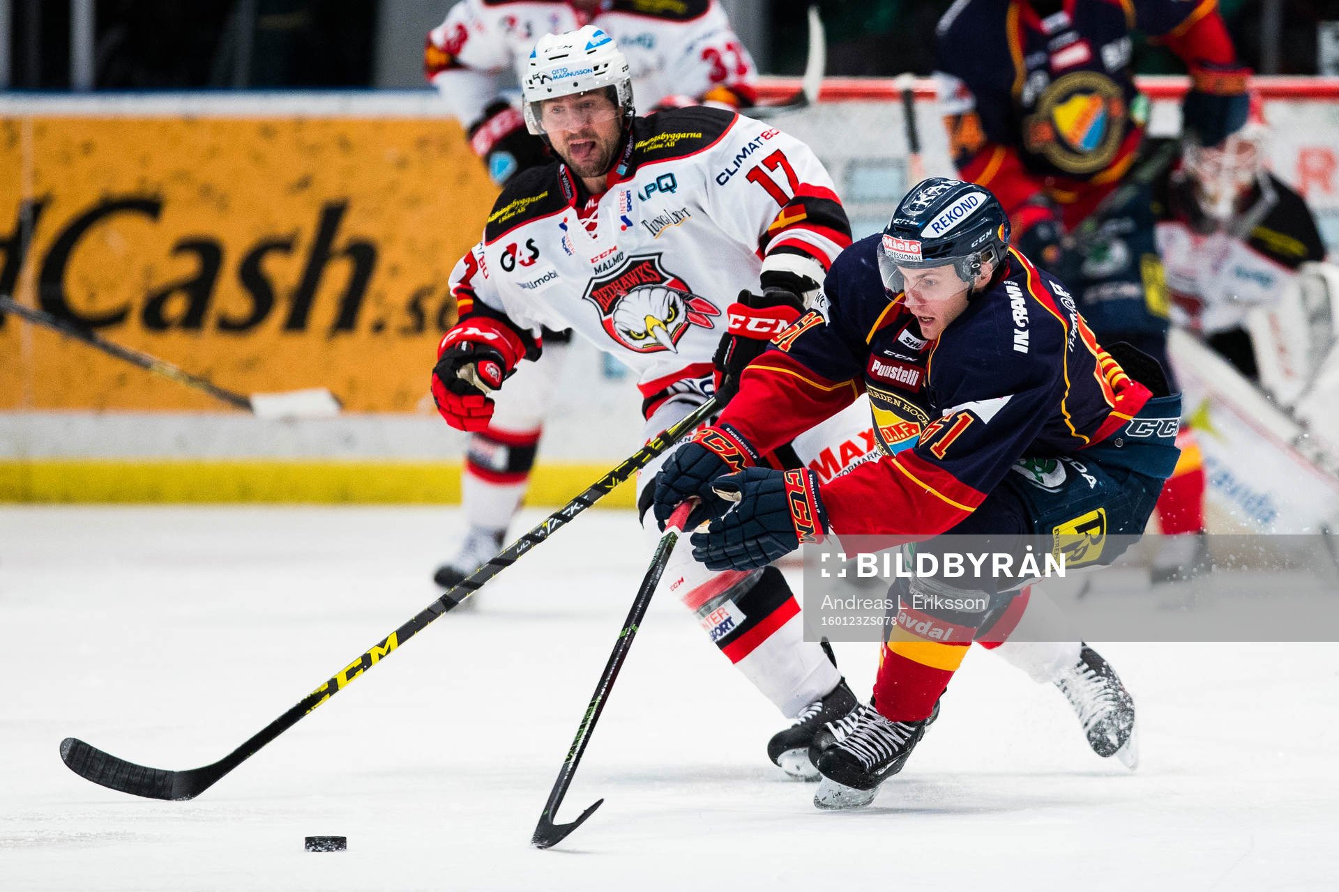 Malmö Redhawks Adam Burish i kamp om pucken med
