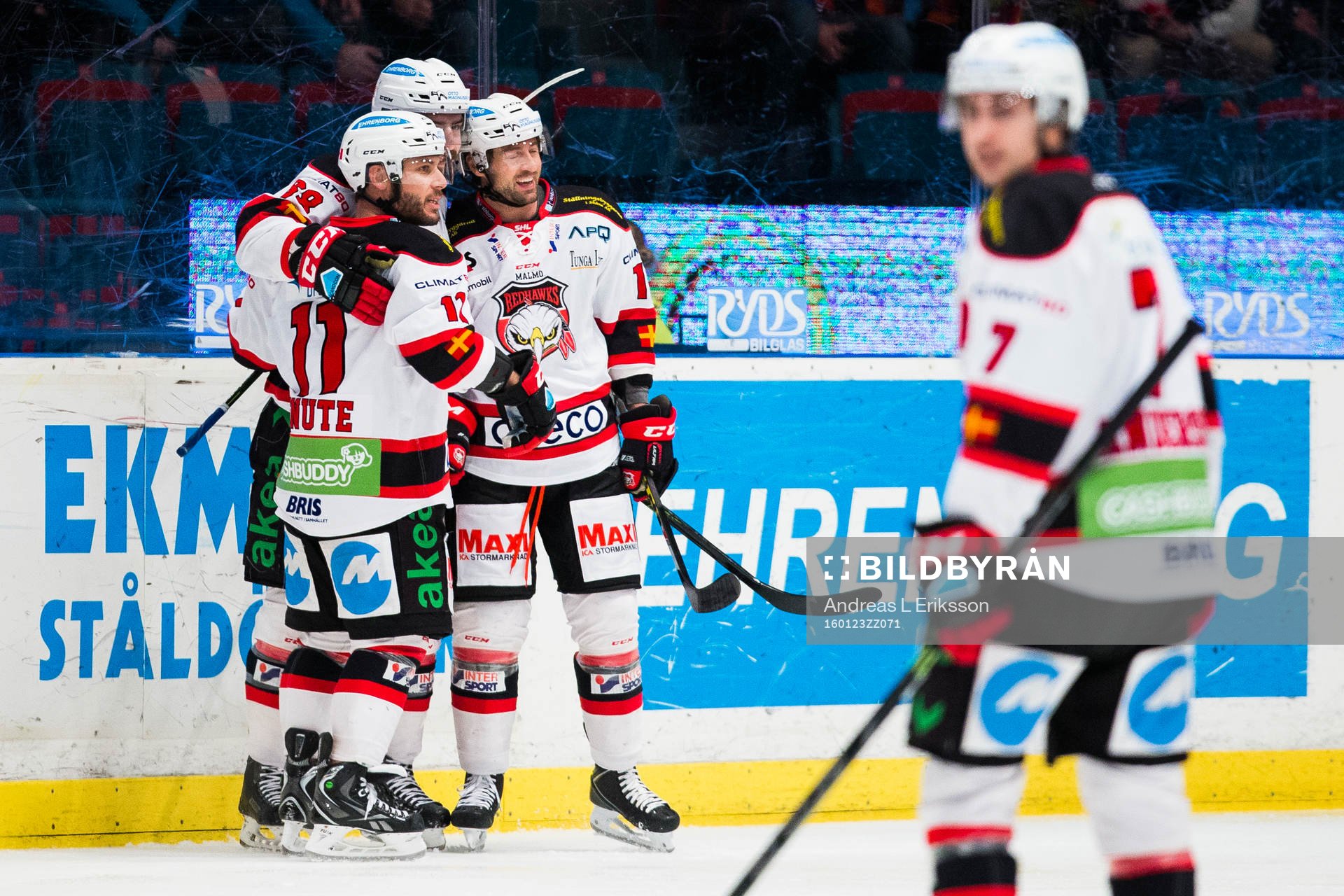 Malmö Redhawks Joey Tenute jublar